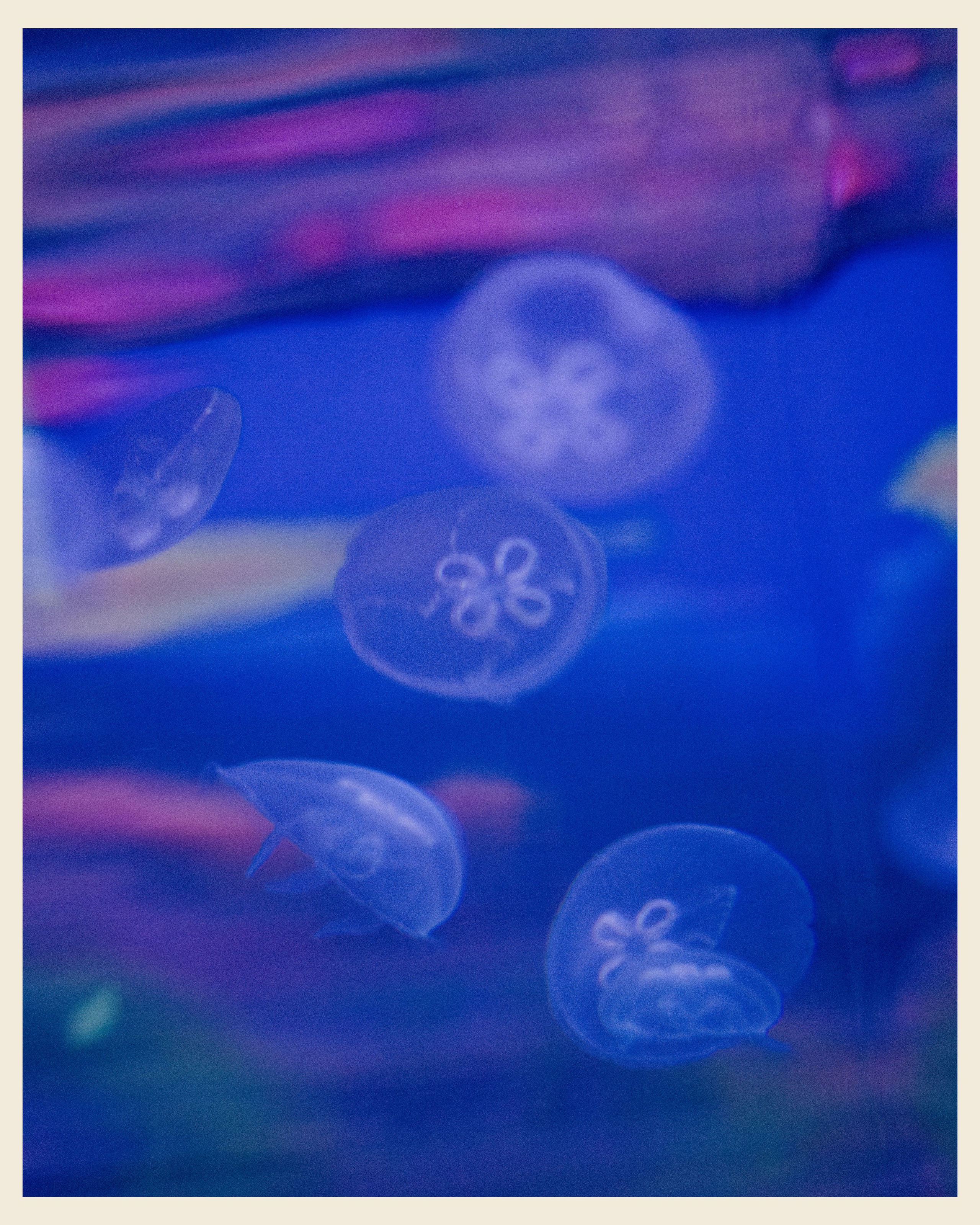 AILAND x VANO. Ivan Petrov photographer