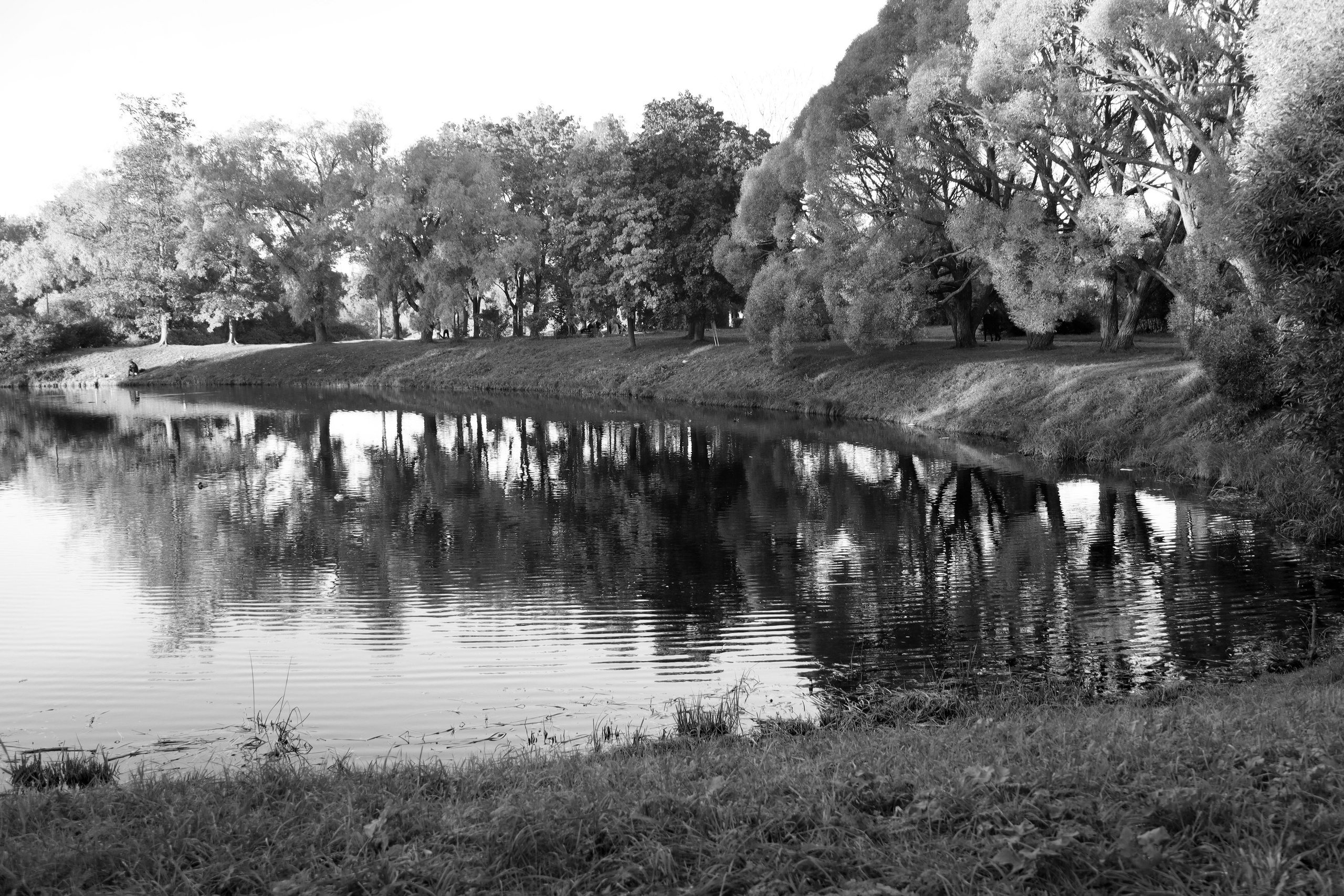 У воды. Главная