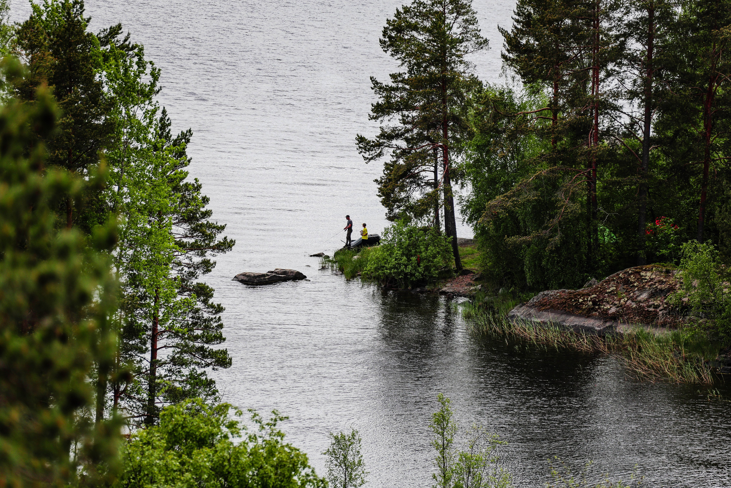 ПЛАНЕТА ЗЕМЛЯ (пейзаж). АЛЕКСЕЙ КОЛМАКОВ. Фотограф. Москва и Московская область