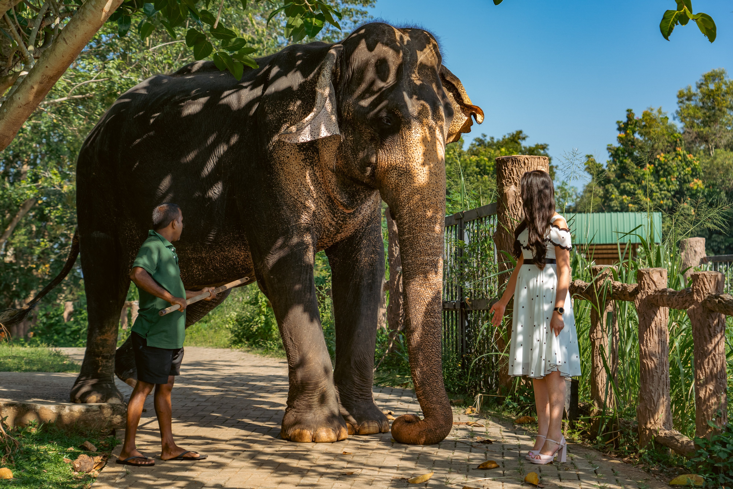 Promo content shooting for Ceylon Forward Tours