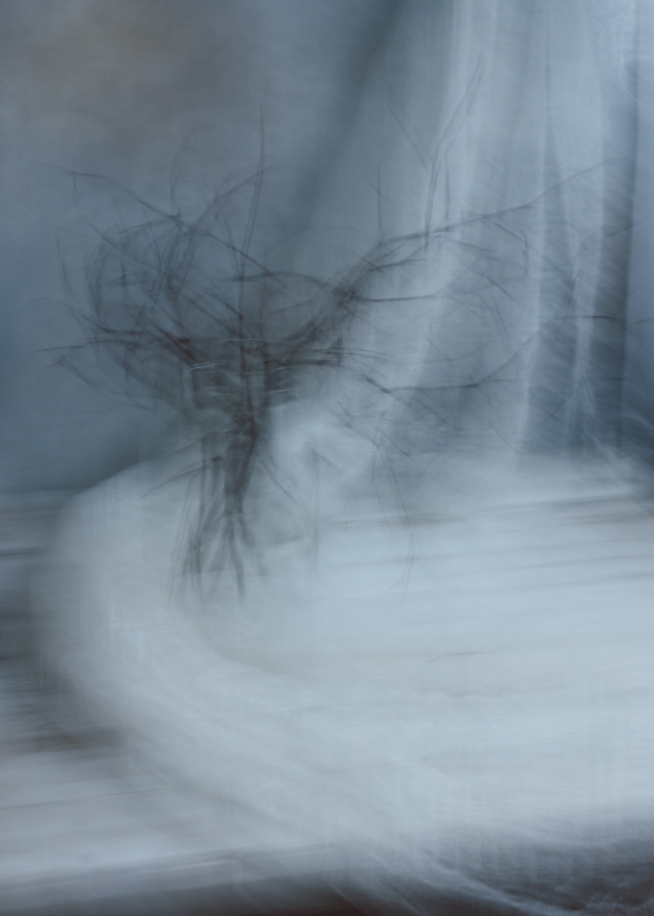 Фотографии — участники выставок и публикации. Портретный и свадебный фотограф в Пушкине и Санкт-Петербурге