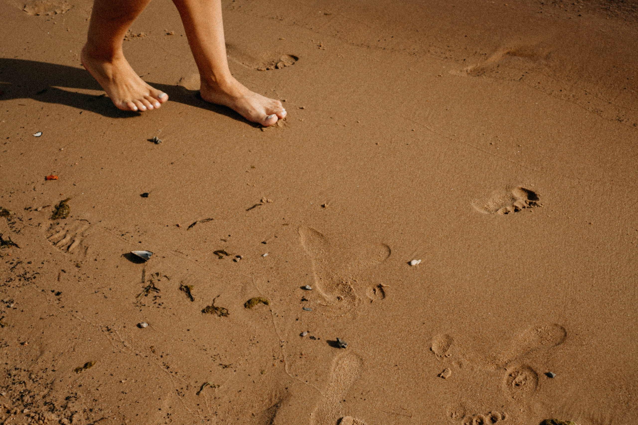 Летняя прогулка. Профессиональный фотограф, Санкт-Петербург — Виктория Богомолова