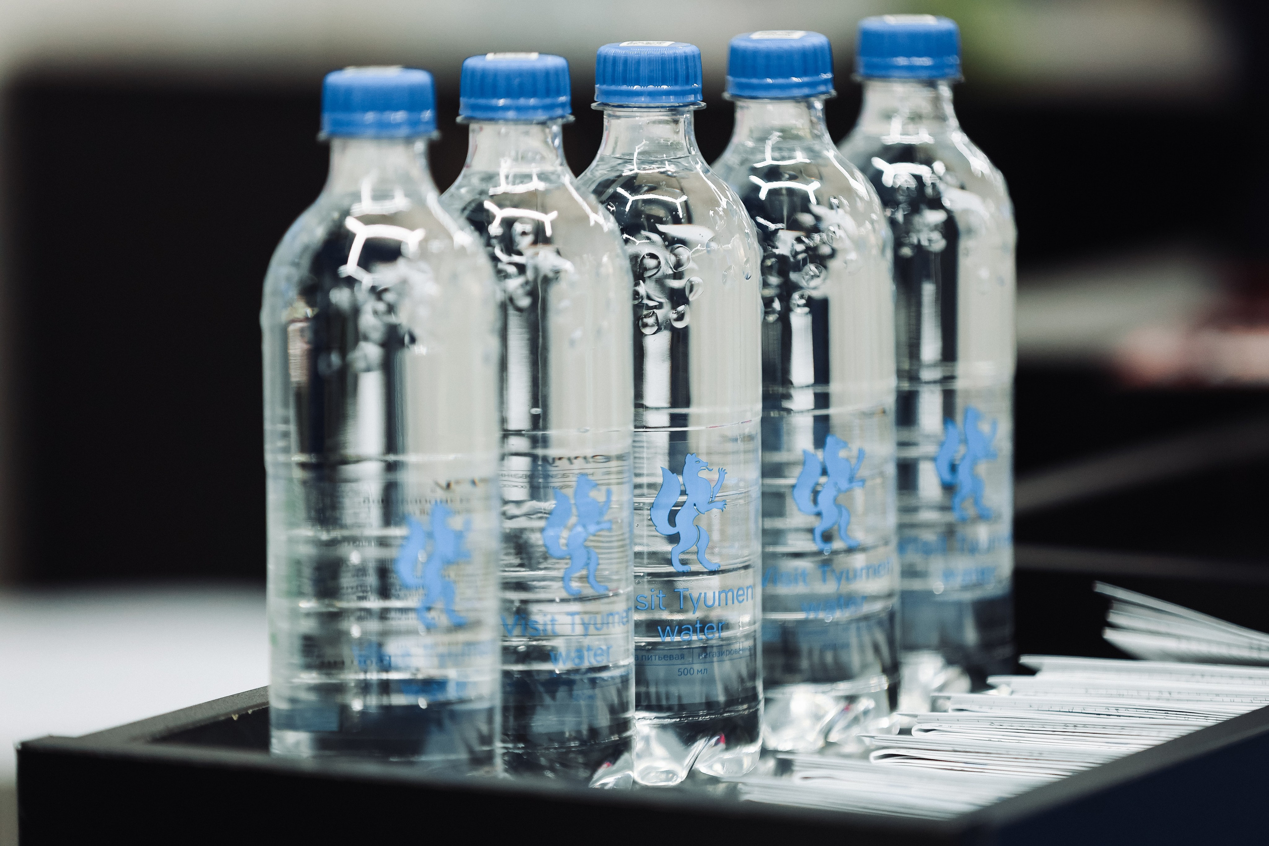 TNF 2024. MIG — студия спортивной фотографии Михаила Голянского