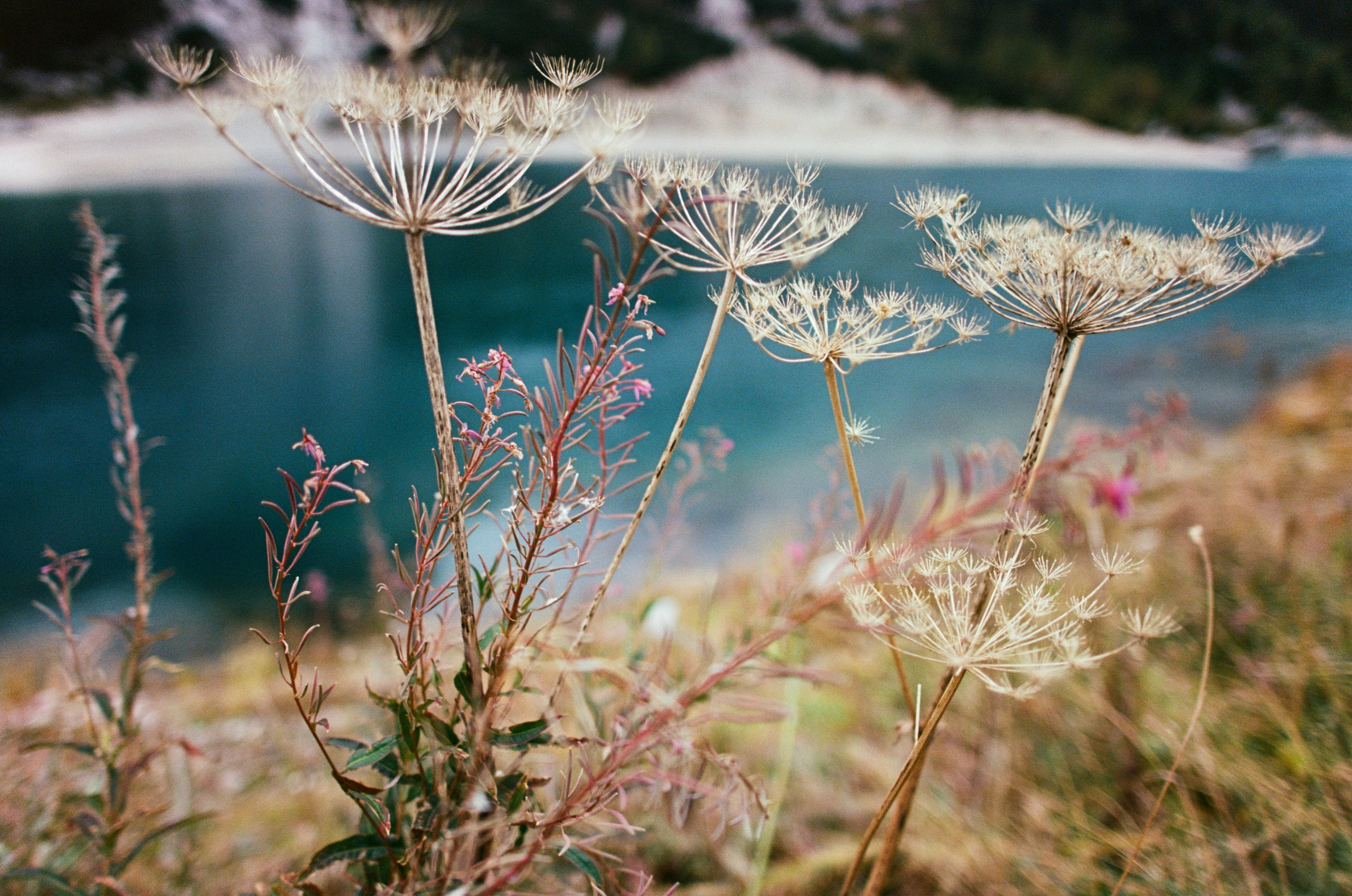 Fear for nobody // italy, dolomites. EVER EXPOSED