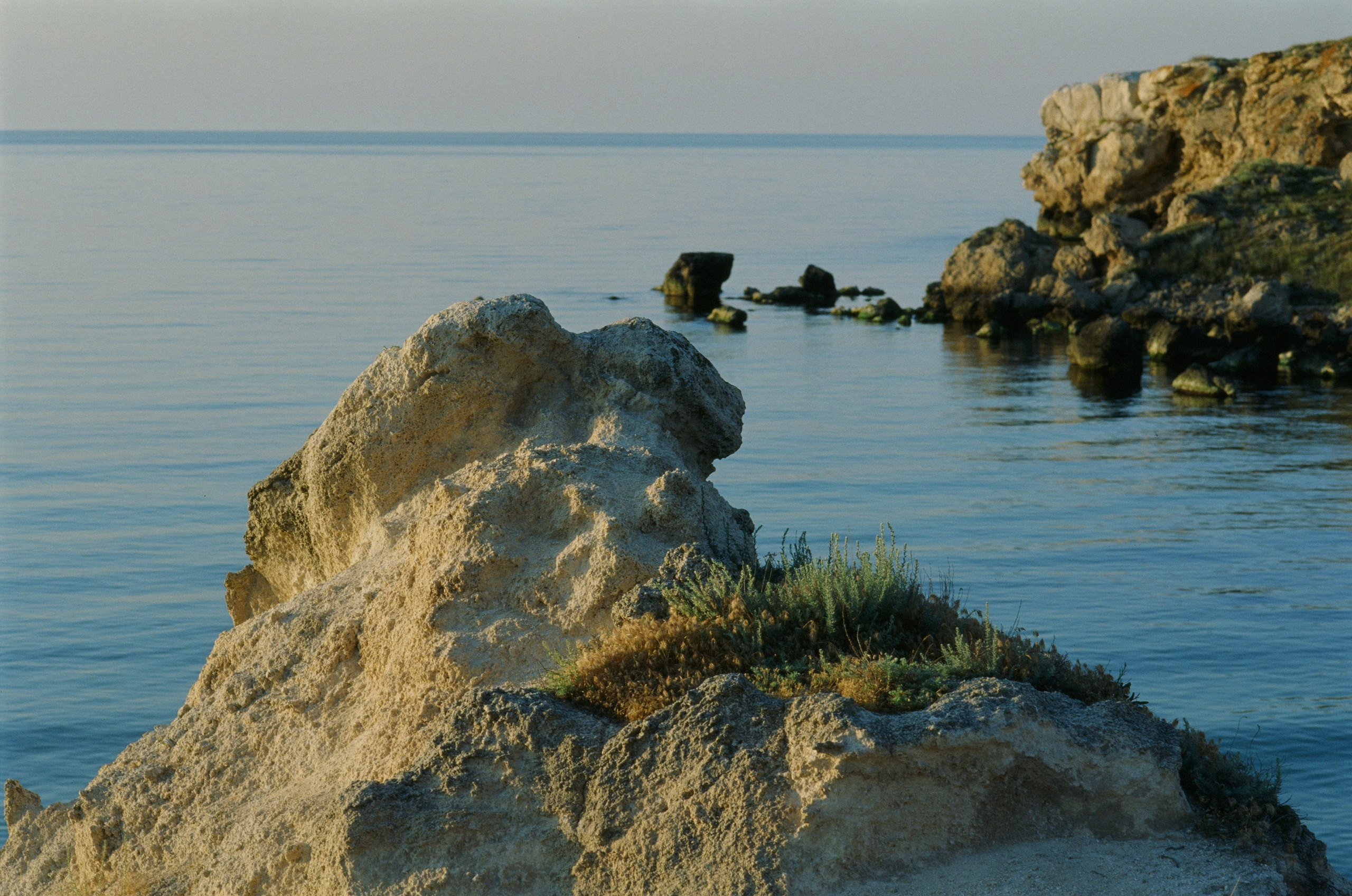 Dig it // ukraine, crimea V. EVER EXPOSED