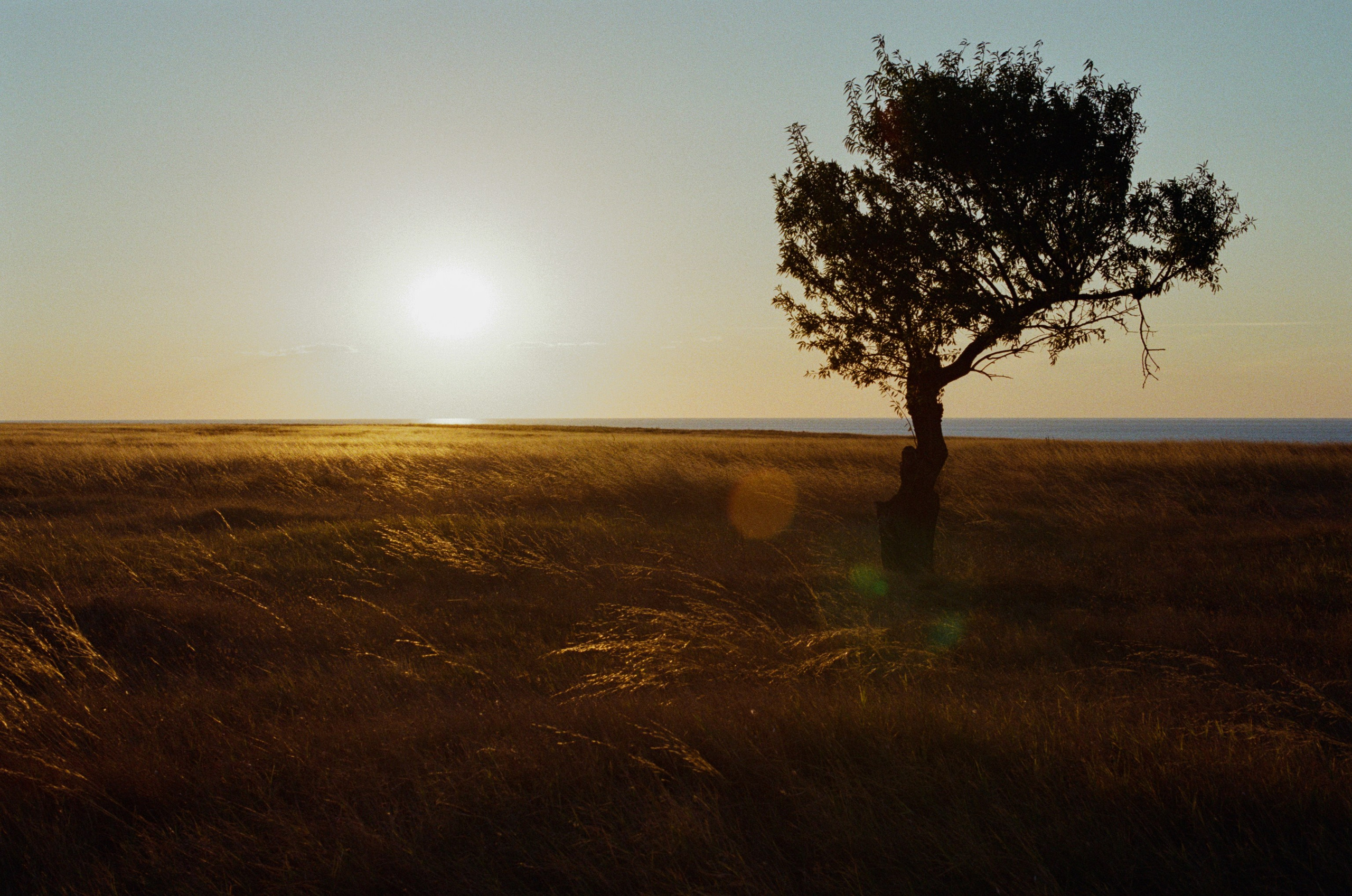 Your guardian angel // ukraine, crimea. EVER EXPOSED
