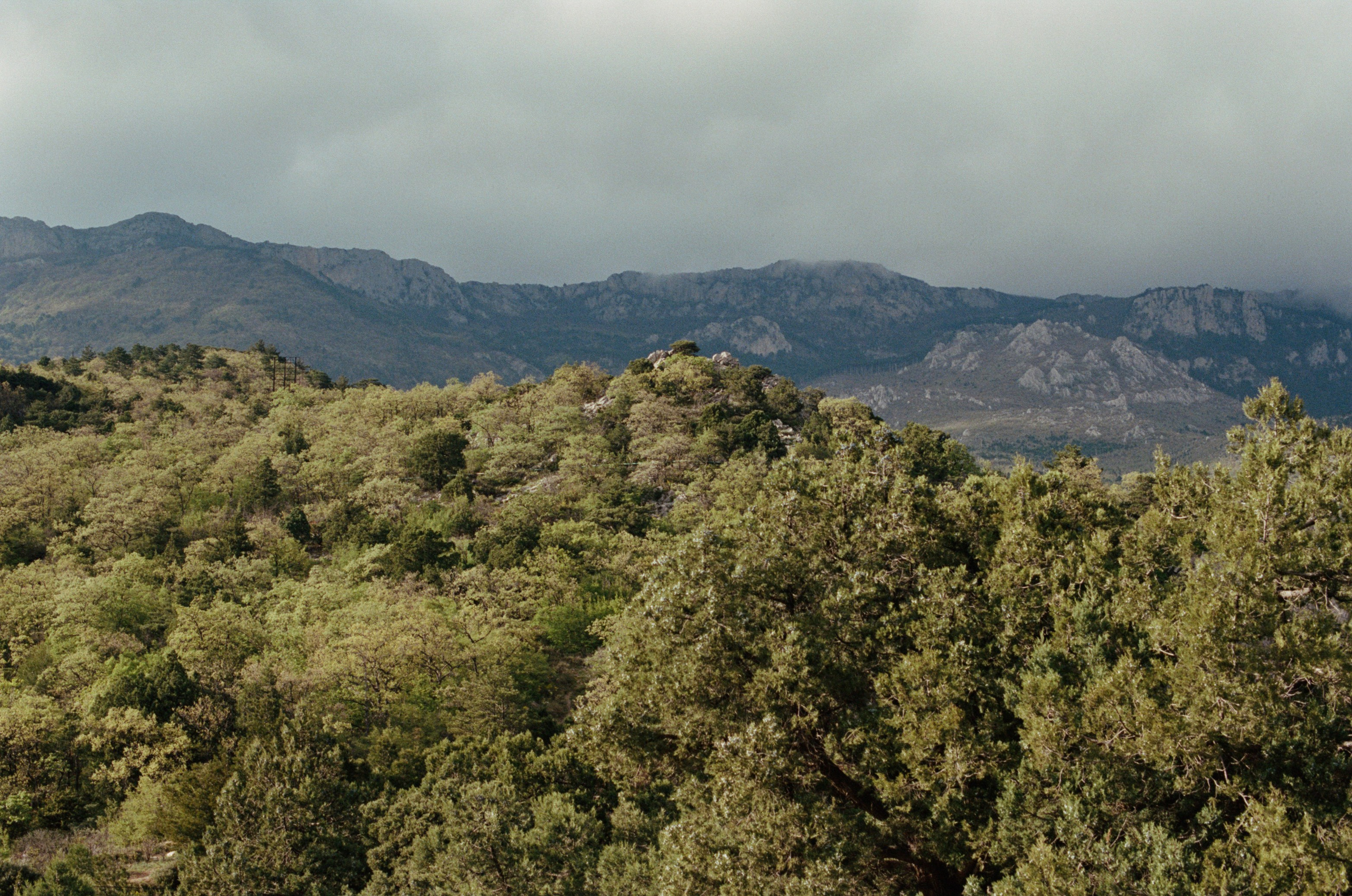 This time // ukraine, crimea VI. EVER EXPOSED