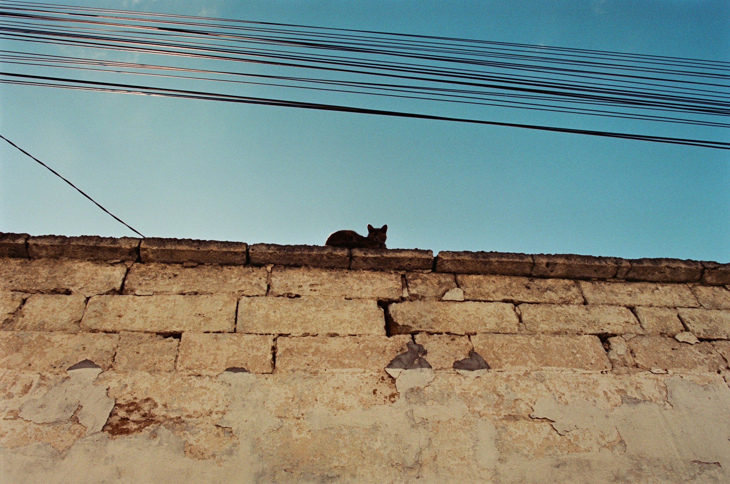 Press enter to exit // ukraine, crimea VI. EVER EXPOSED