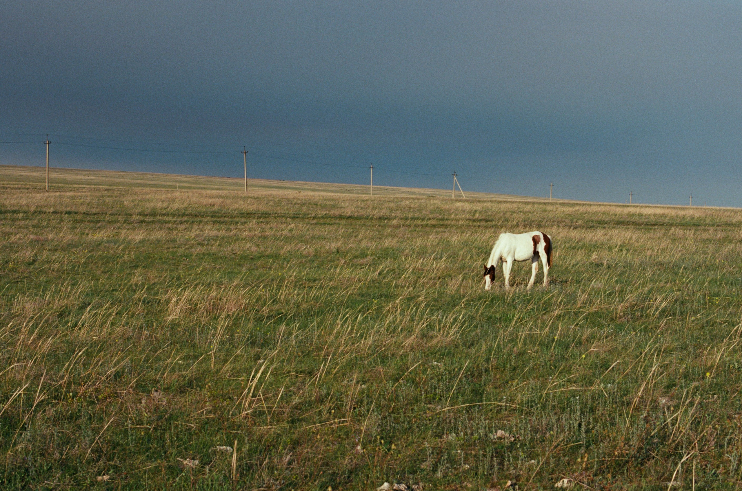 The drugs don't work // ukraine, crimea II. EVER EXPOSED
