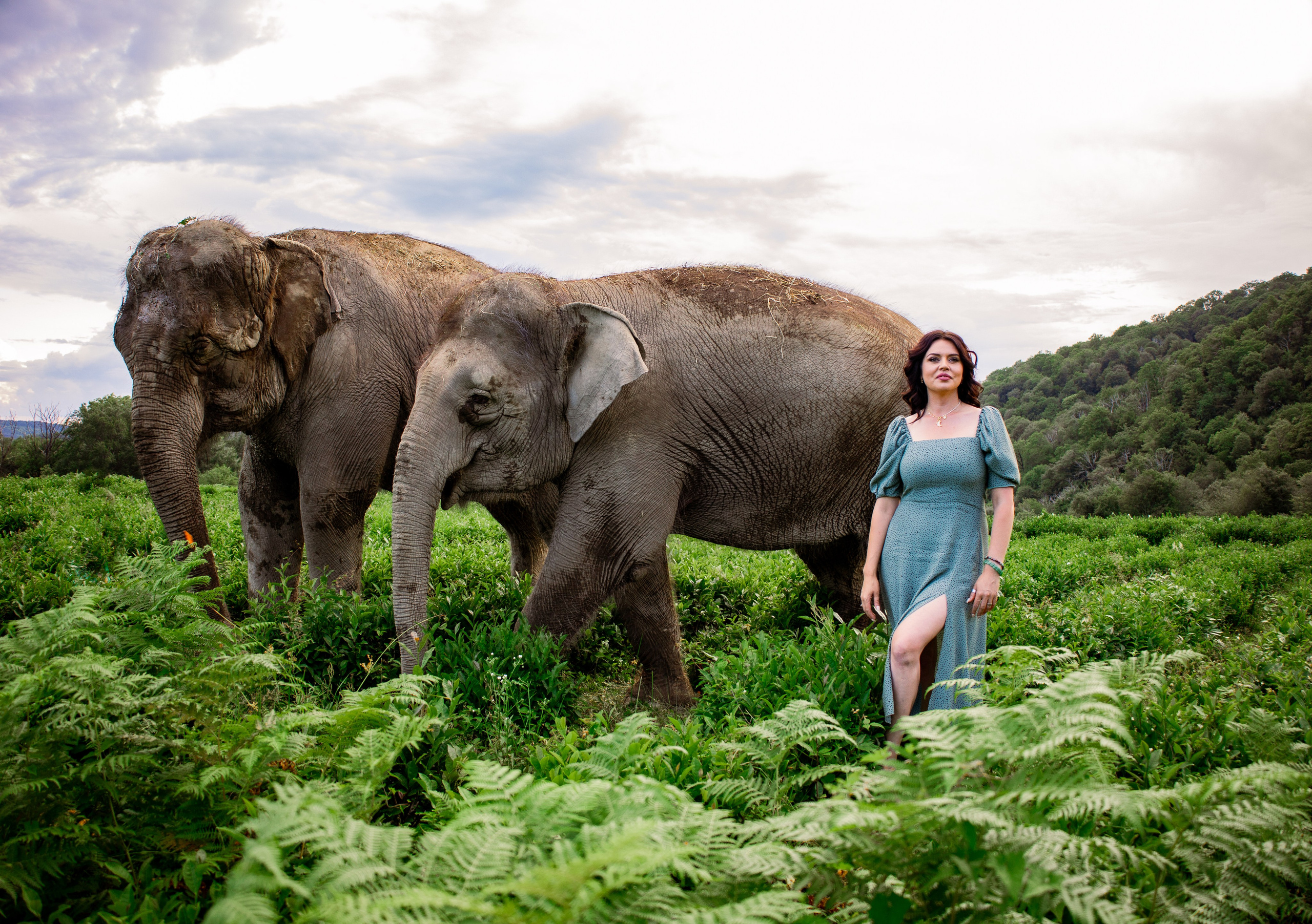 Слоны. Семейный и Свадебный фотограф в Сочи