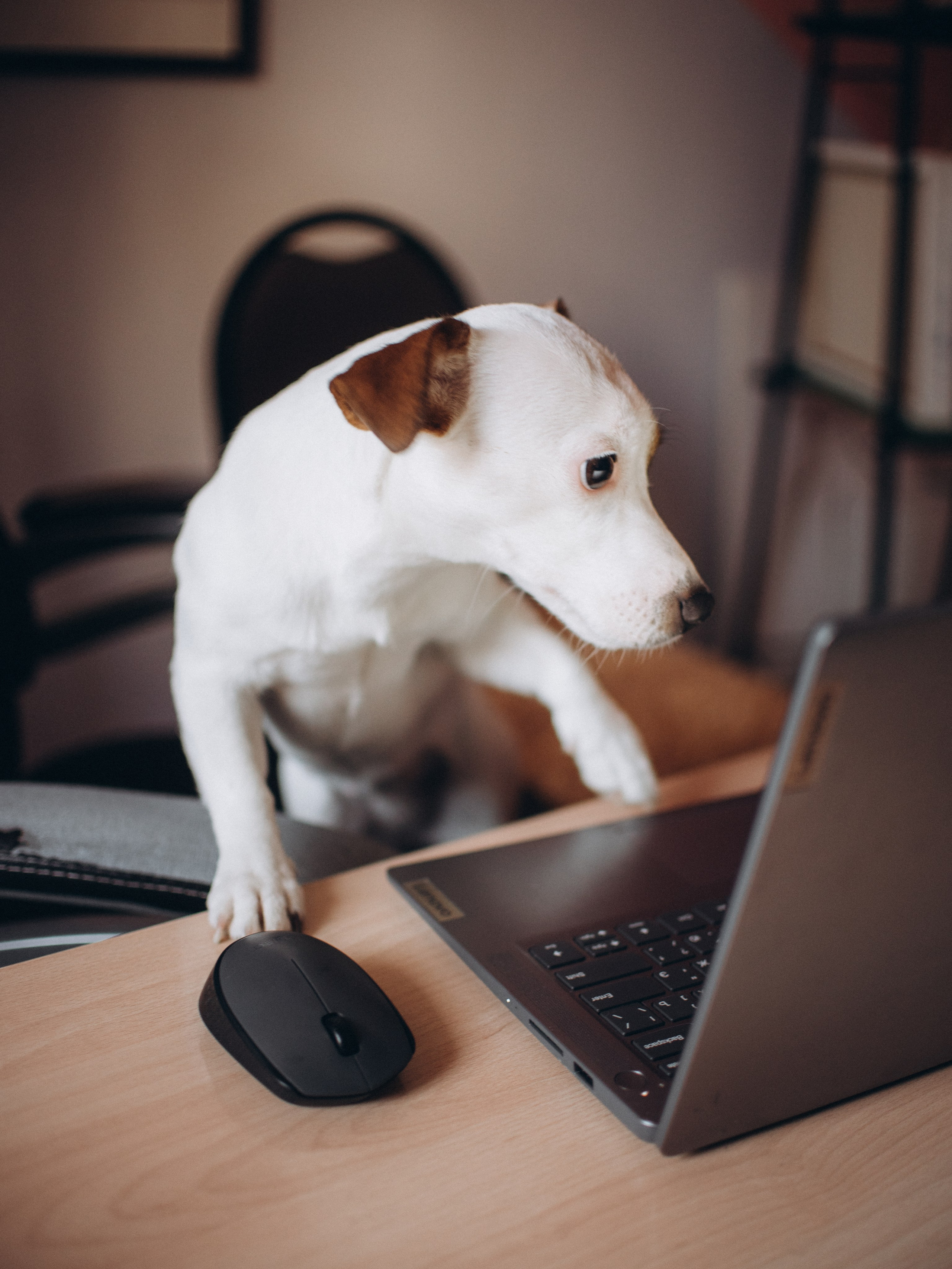 Дарья Разон. Фотограф Любовь Подосенова Липецк|Воронеж