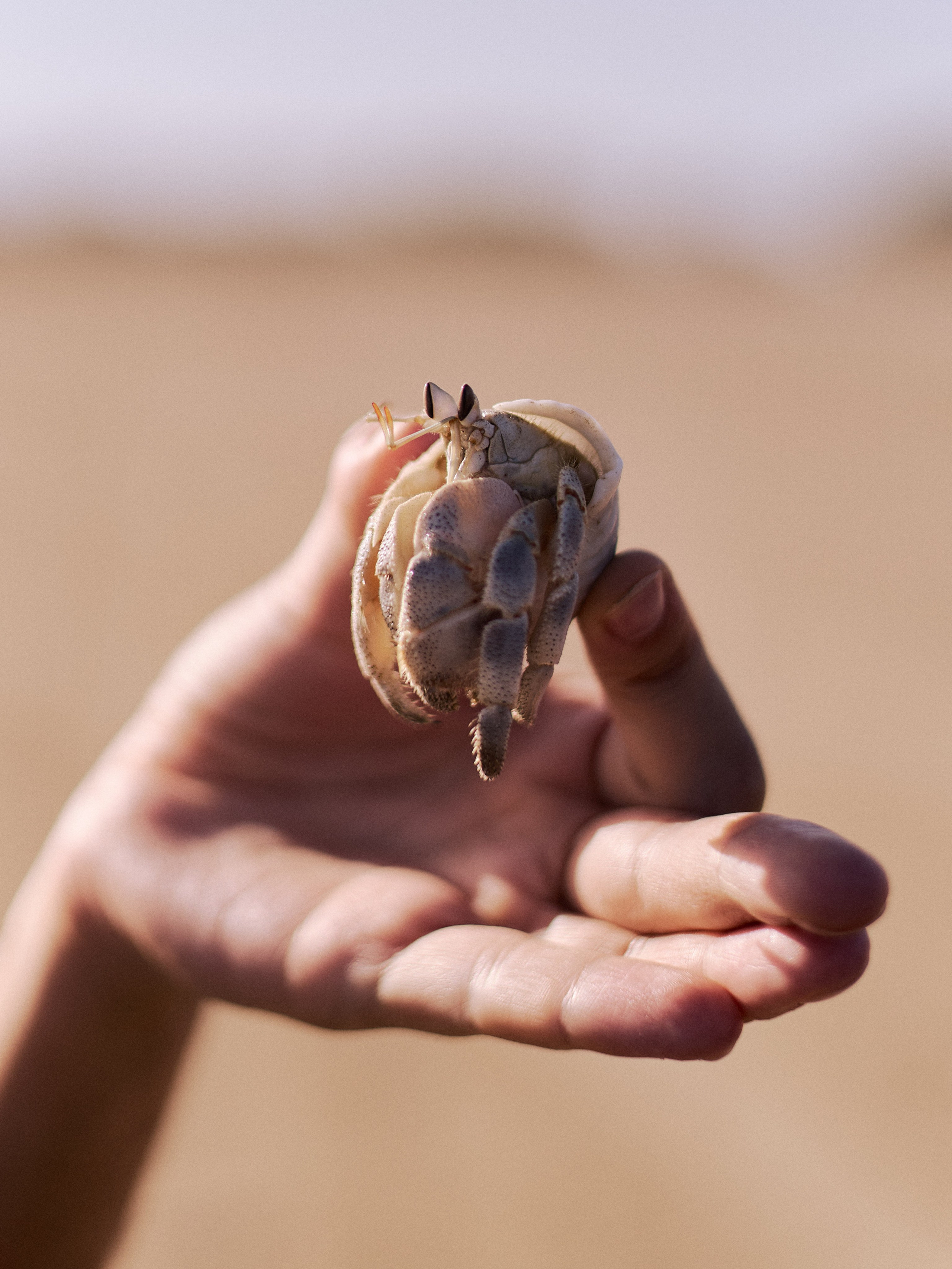 Другое 2. Jorgis Talè — photographer, kind person, teacher of arts and other mag