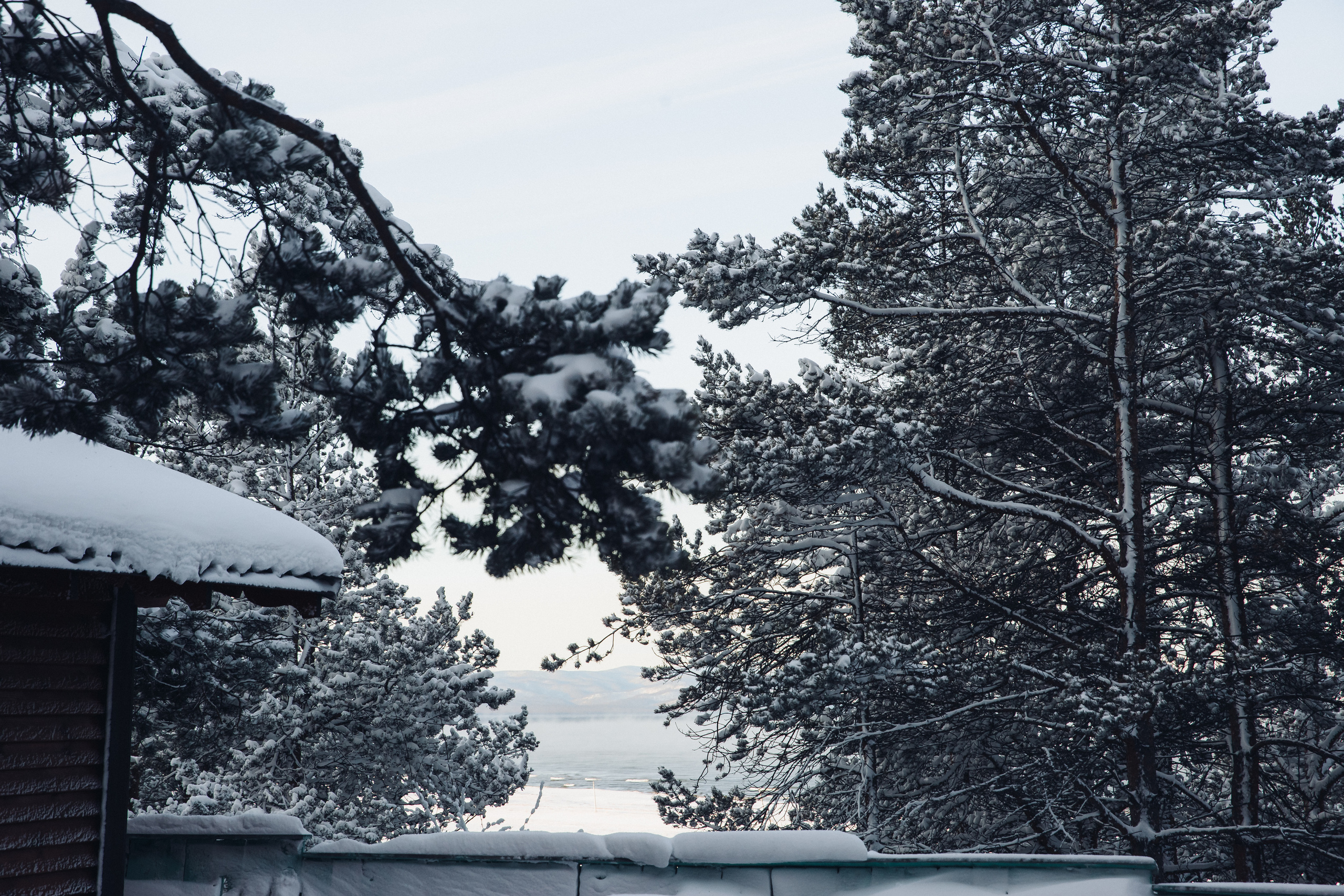 Алексей и Надежда. Свадебный и семейный фотограф в Улан-Удэ