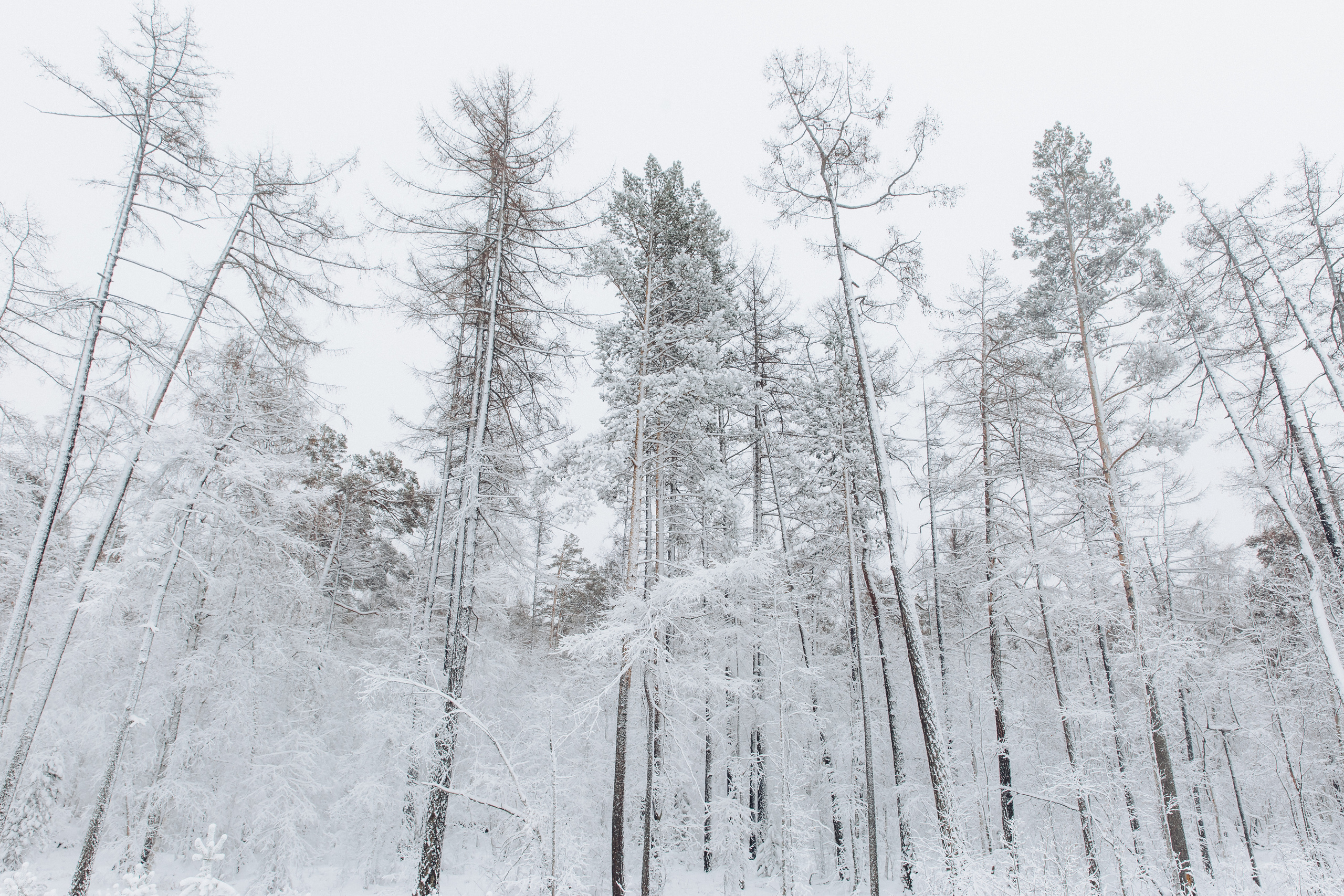 Алексей и Надежда. Свадебный и семейный фотограф в Улан-Удэ