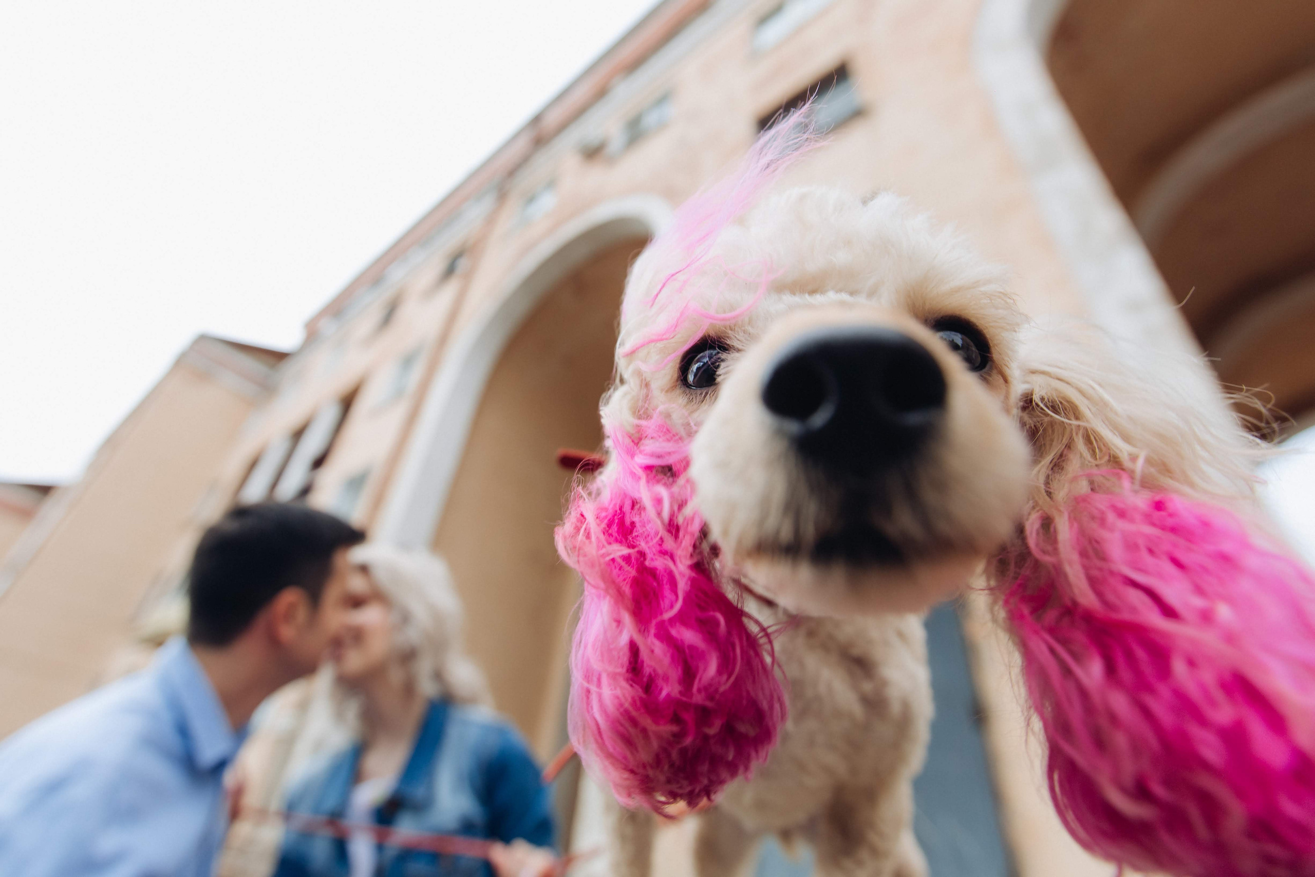Нас связала музыка. Свадебный и семейный фотограф в Улан-Удэ