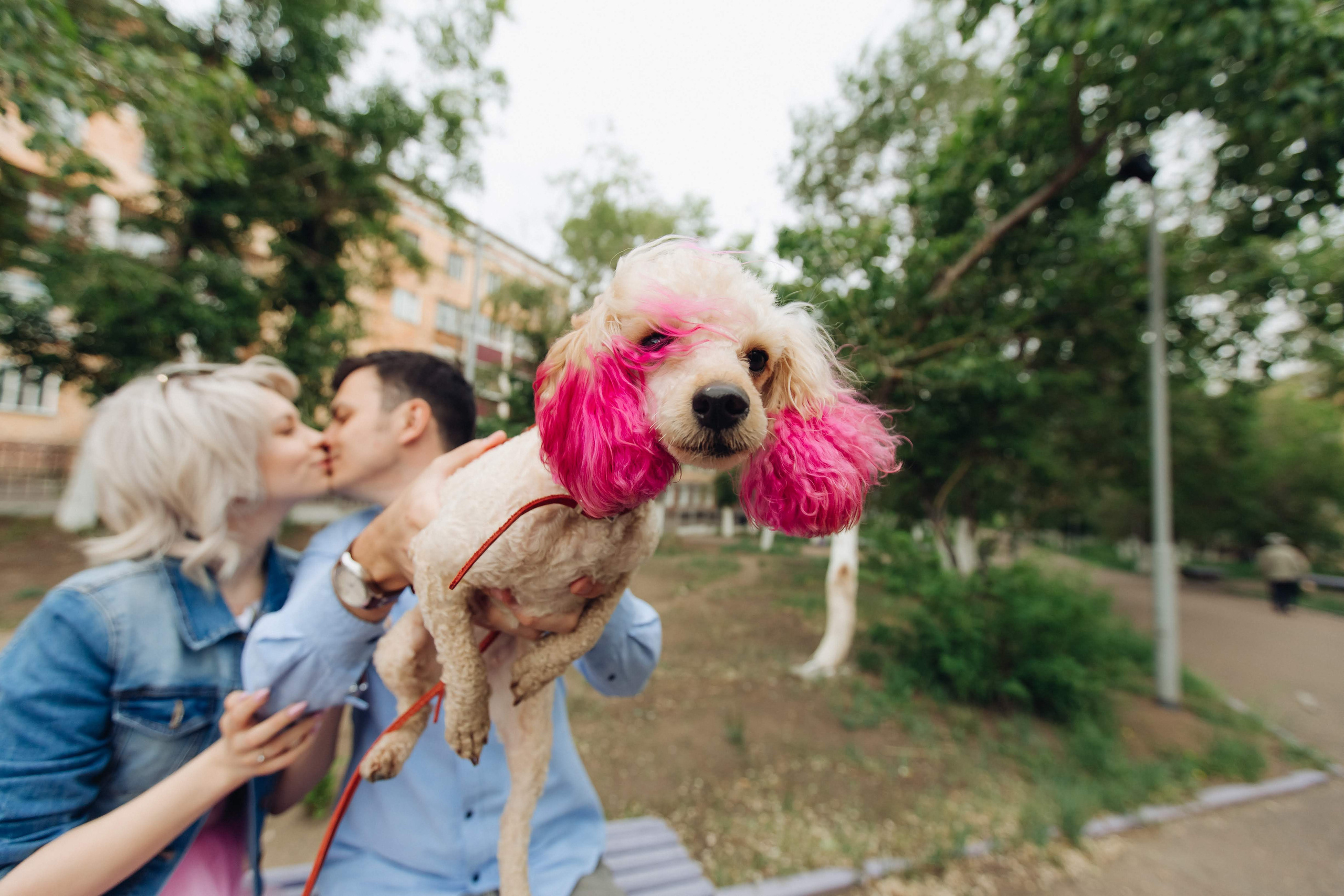 Нас связала музыка. Свадебный и семейный фотограф в Улан-Удэ