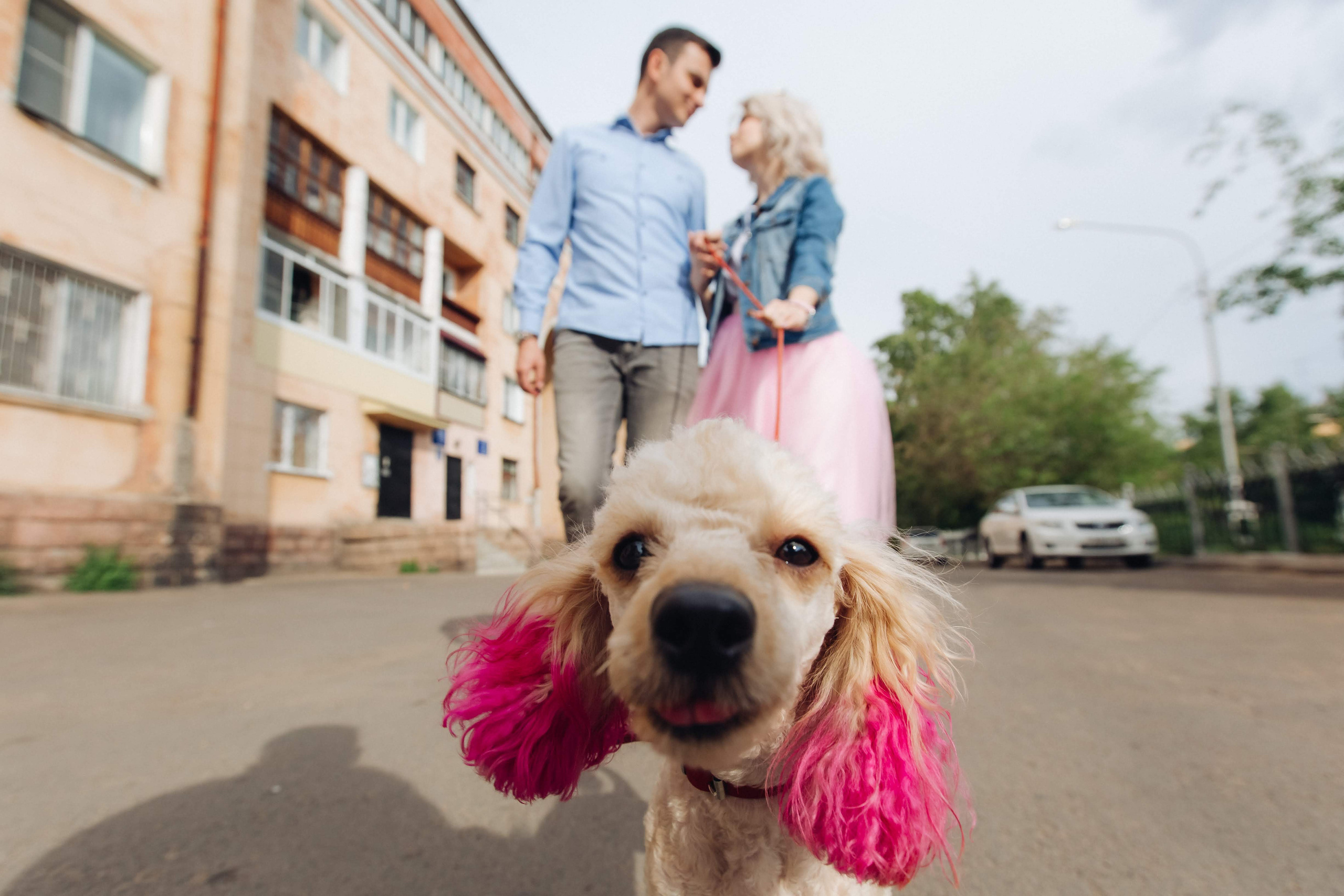 Нас связала музыка. Свадебный и семейный фотограф в Улан-Удэ