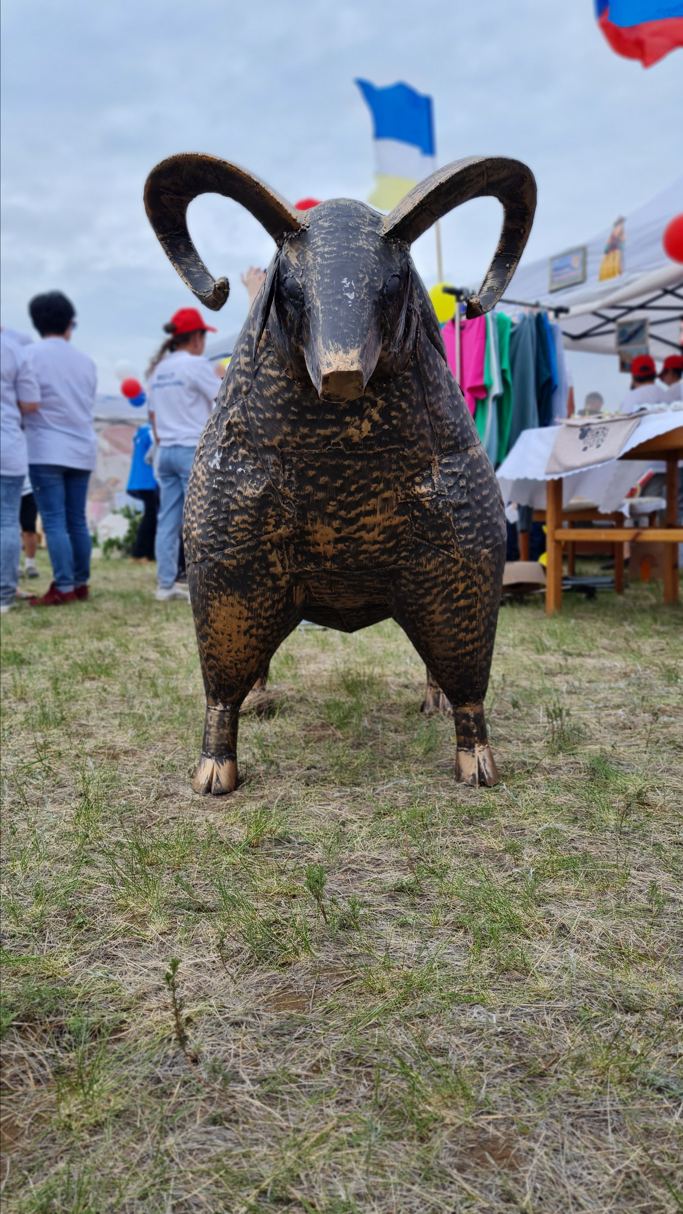 Боргойская баранина. Фотограф Эллина Дар г. Улан-Удэ