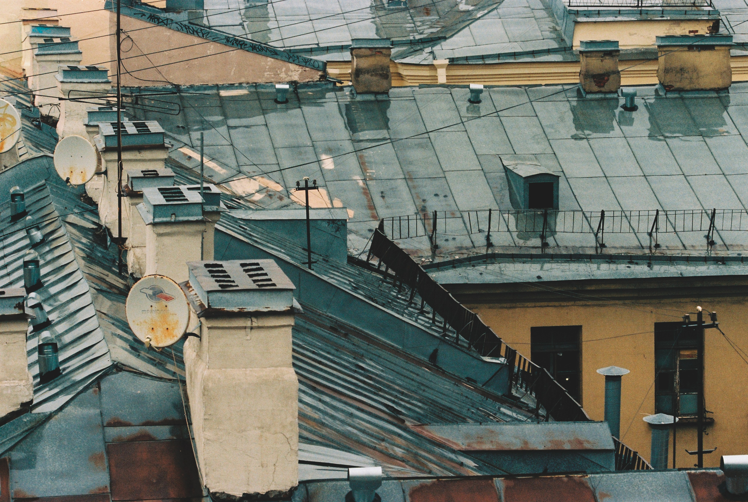 Фотографии цветные. Свадебный и семейный пленочный фотограф в Петербурге Истомина Ирина