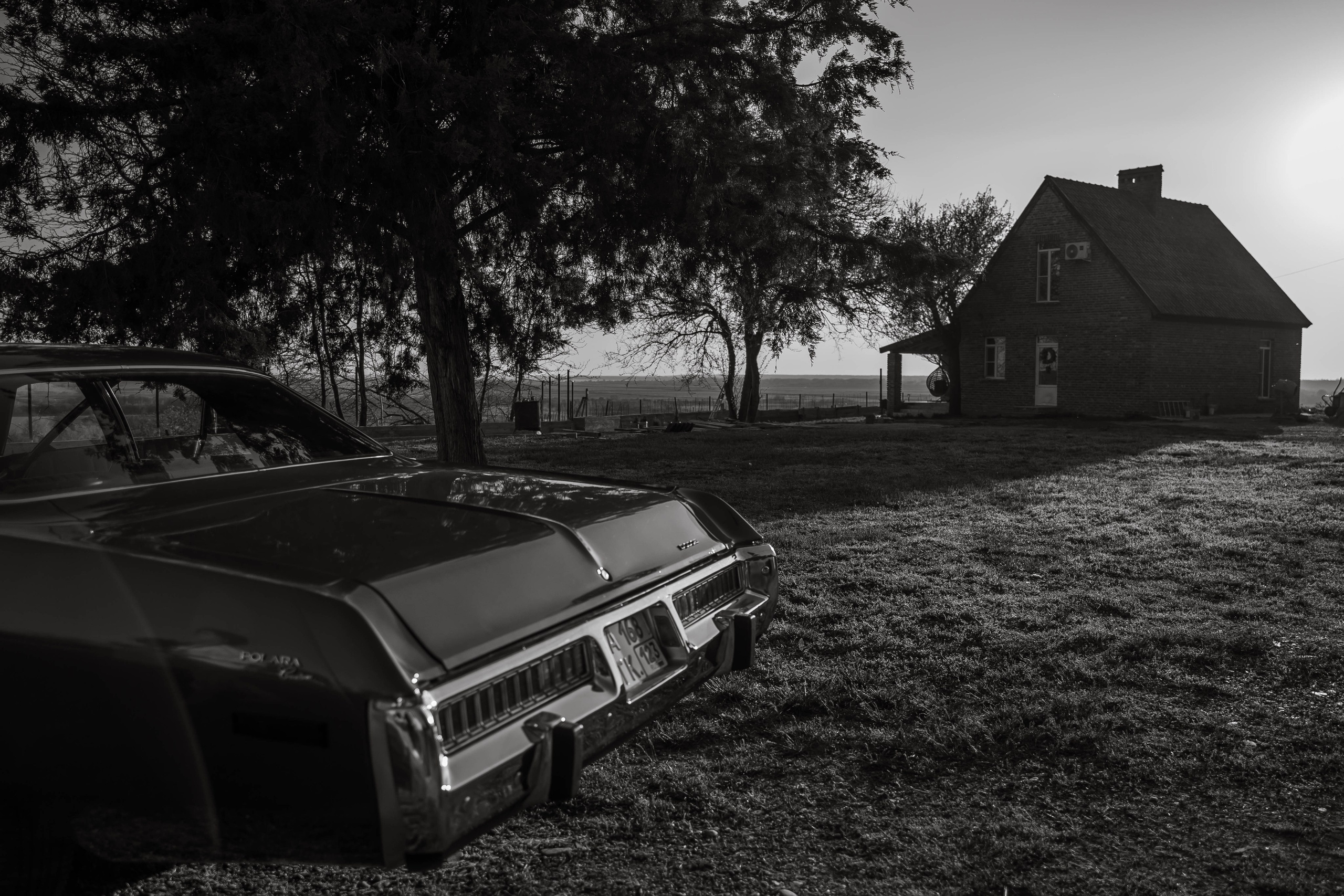 Додж и ранчо. Свадебный и семейный фотограф