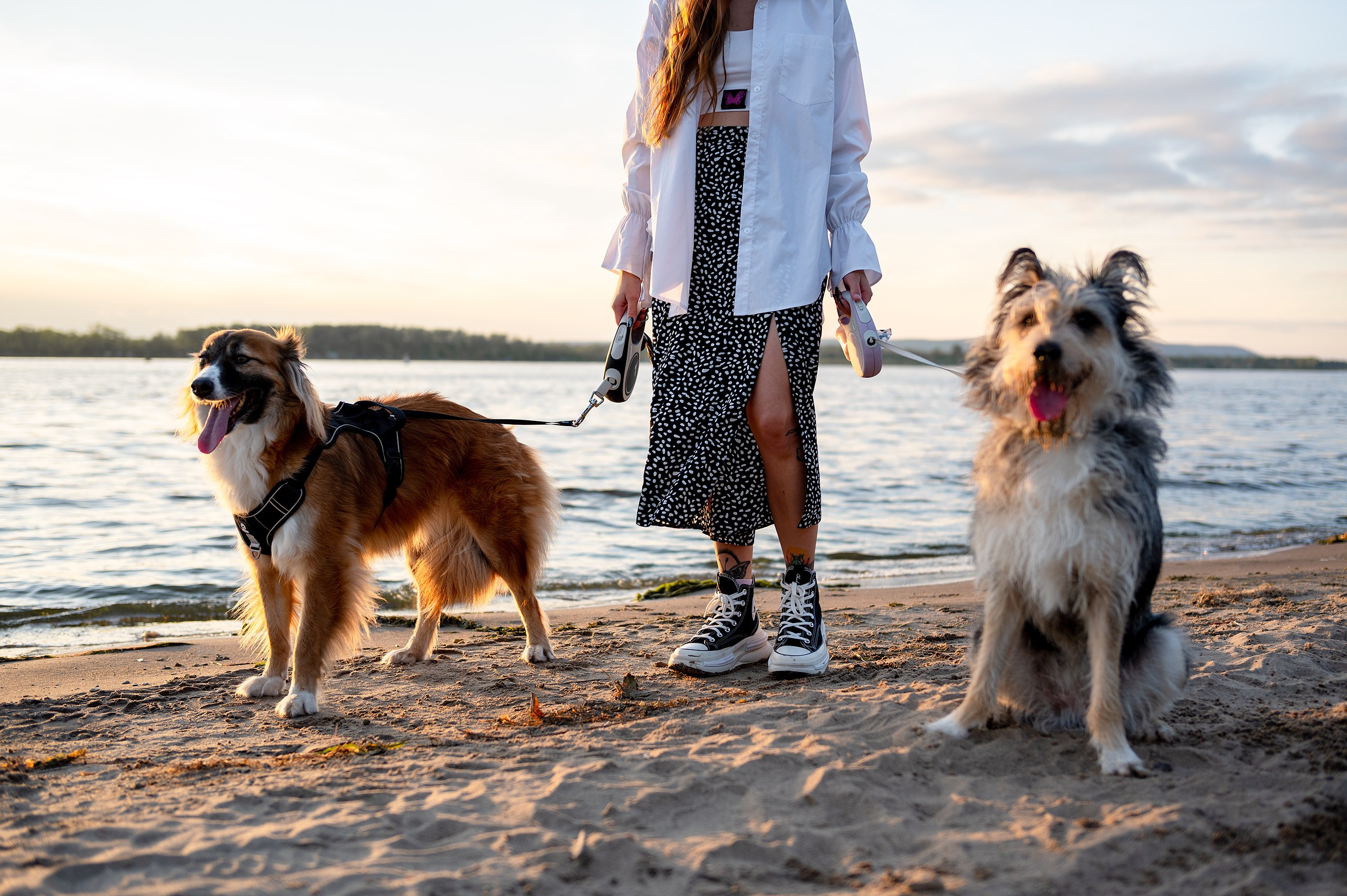 Лиза, Клопа и Хрюша. Главная