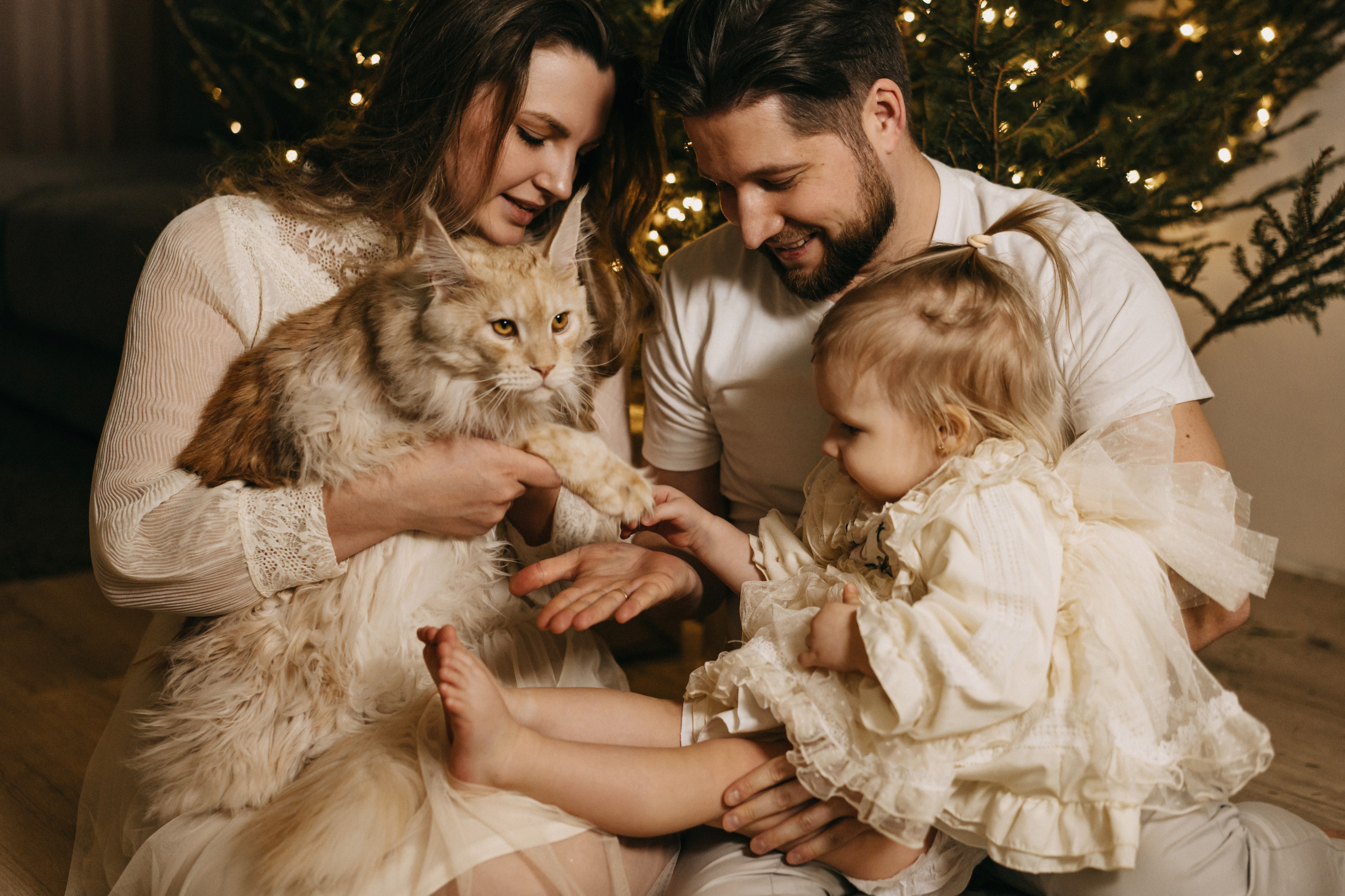 Рождественский вечер. Фотограф Контузорова Ольга