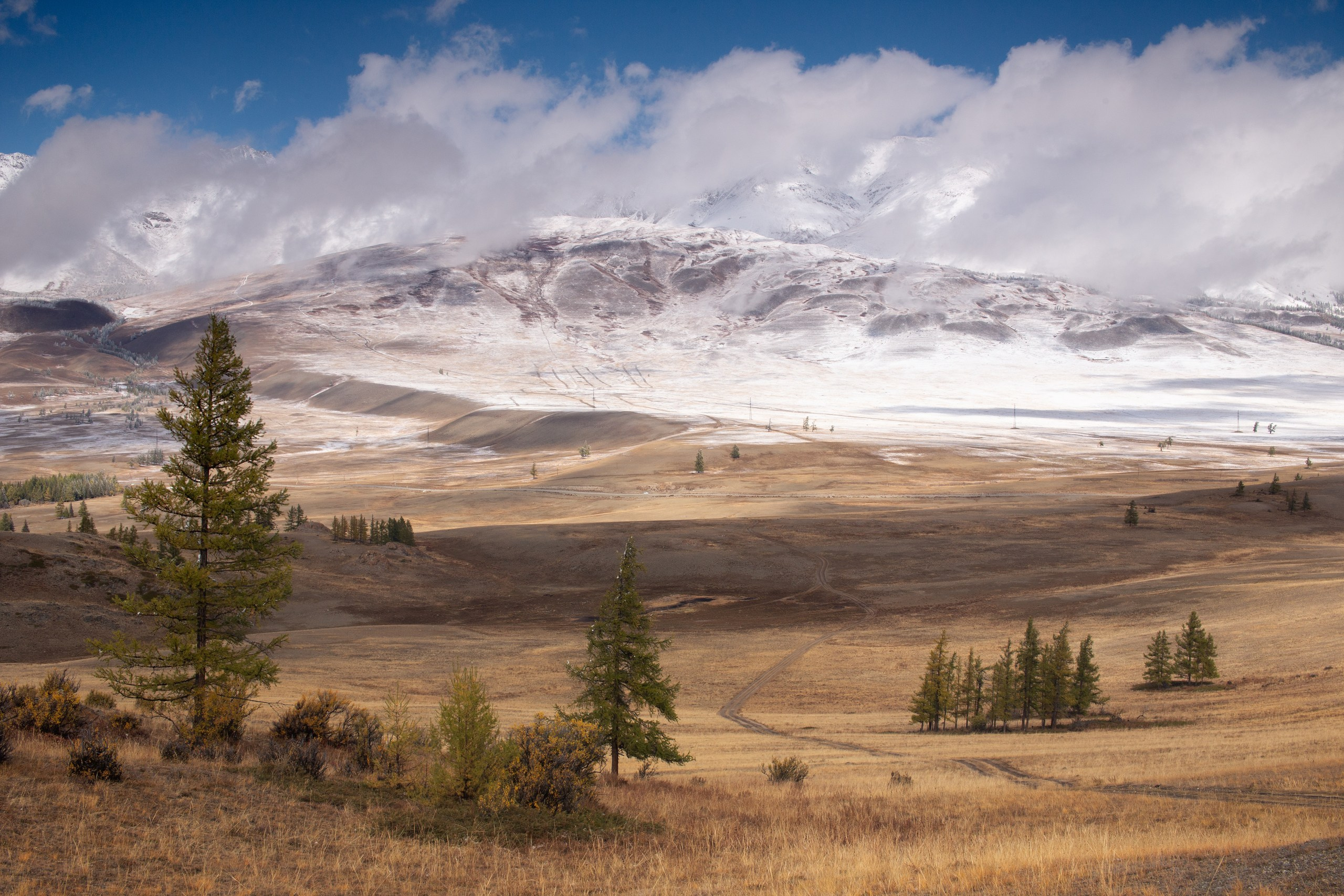 Алтай. Фотограф в Красноярске Нерозя Александр. Пейзаж, природа, портрет