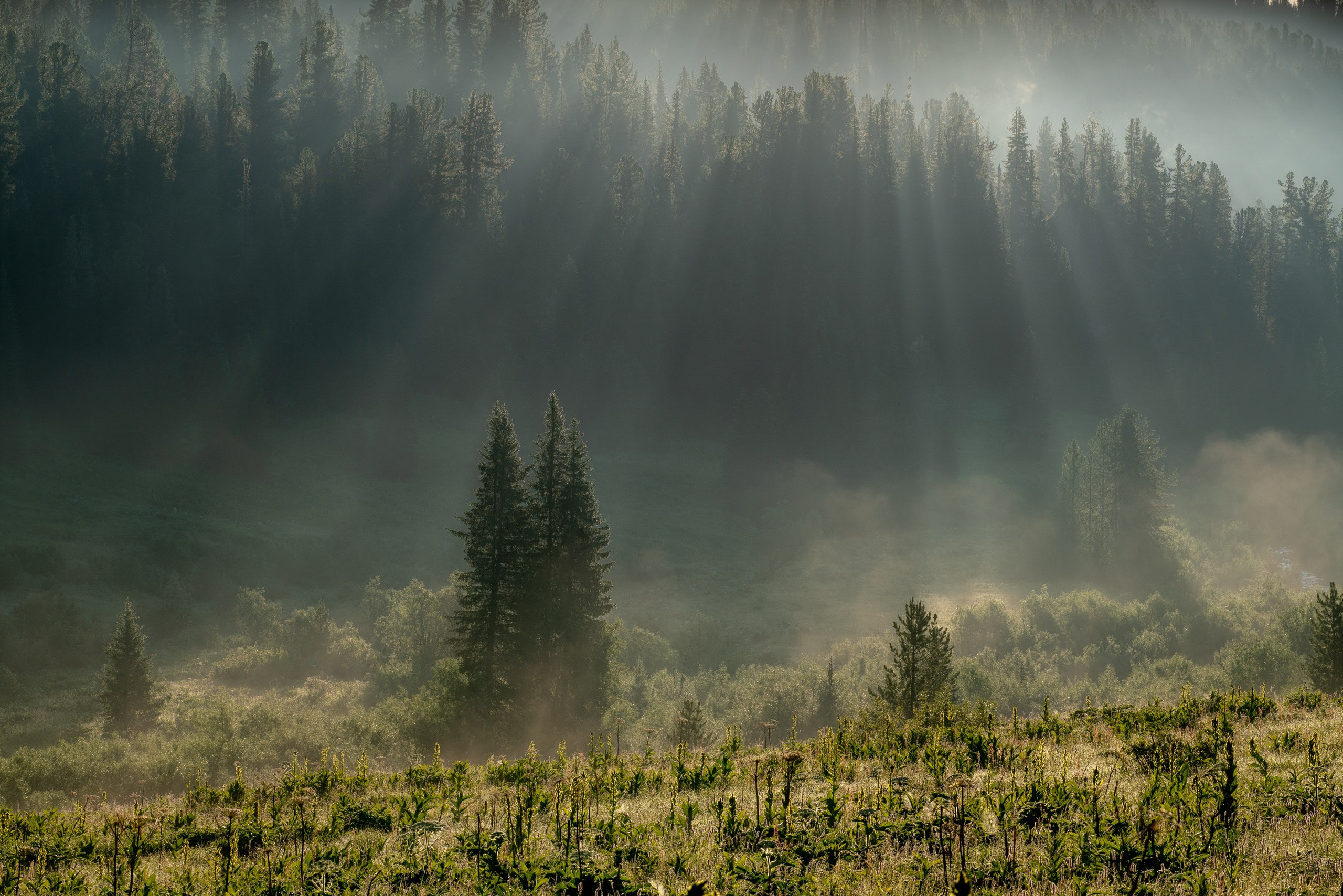 Ергаки. Фотограф в Красноярске Нерозя Александр. Пейзаж, природа, портрет