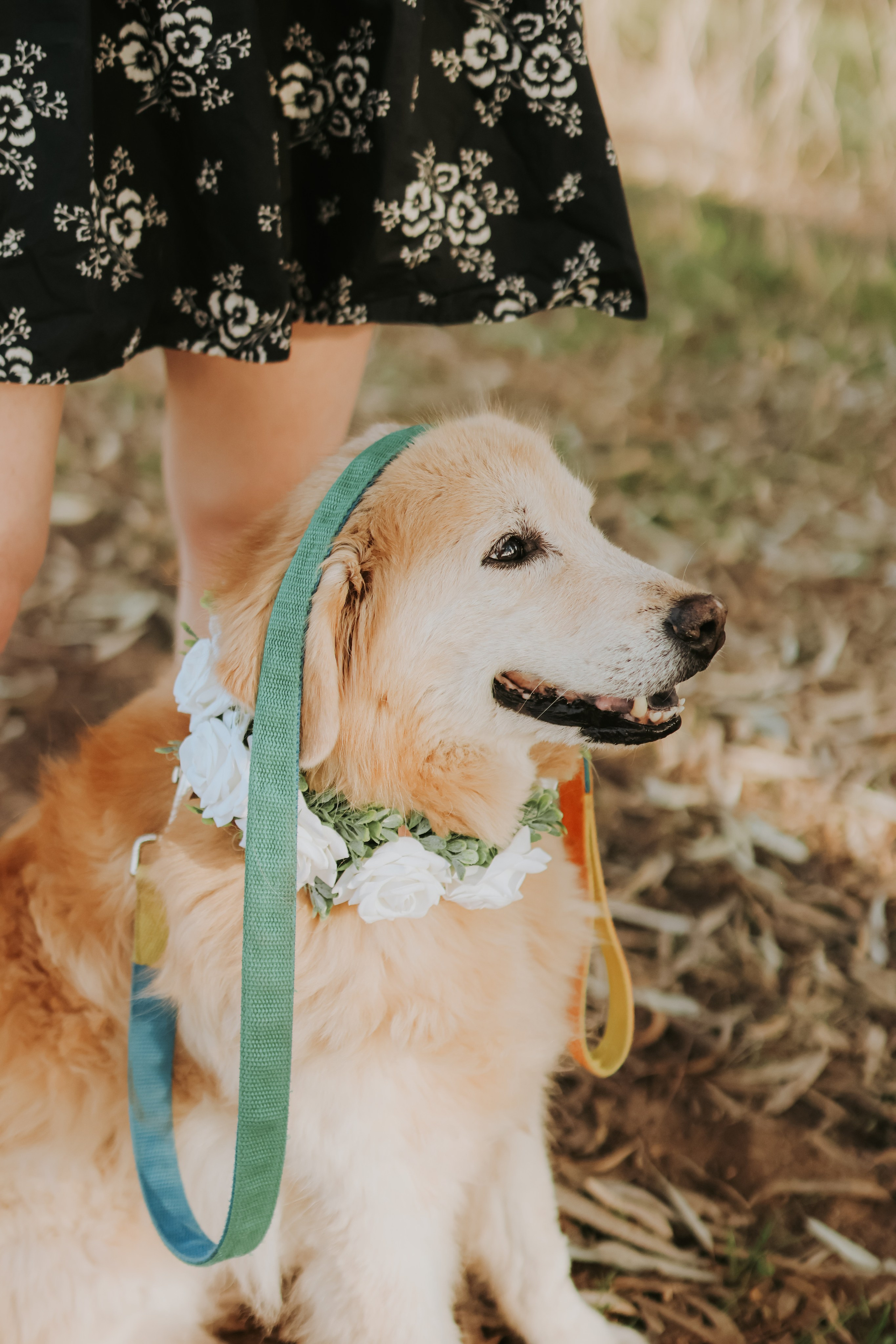 Sabrina's family, Tel Aviv | November 2025. Photographer in Israel Alice Milchin