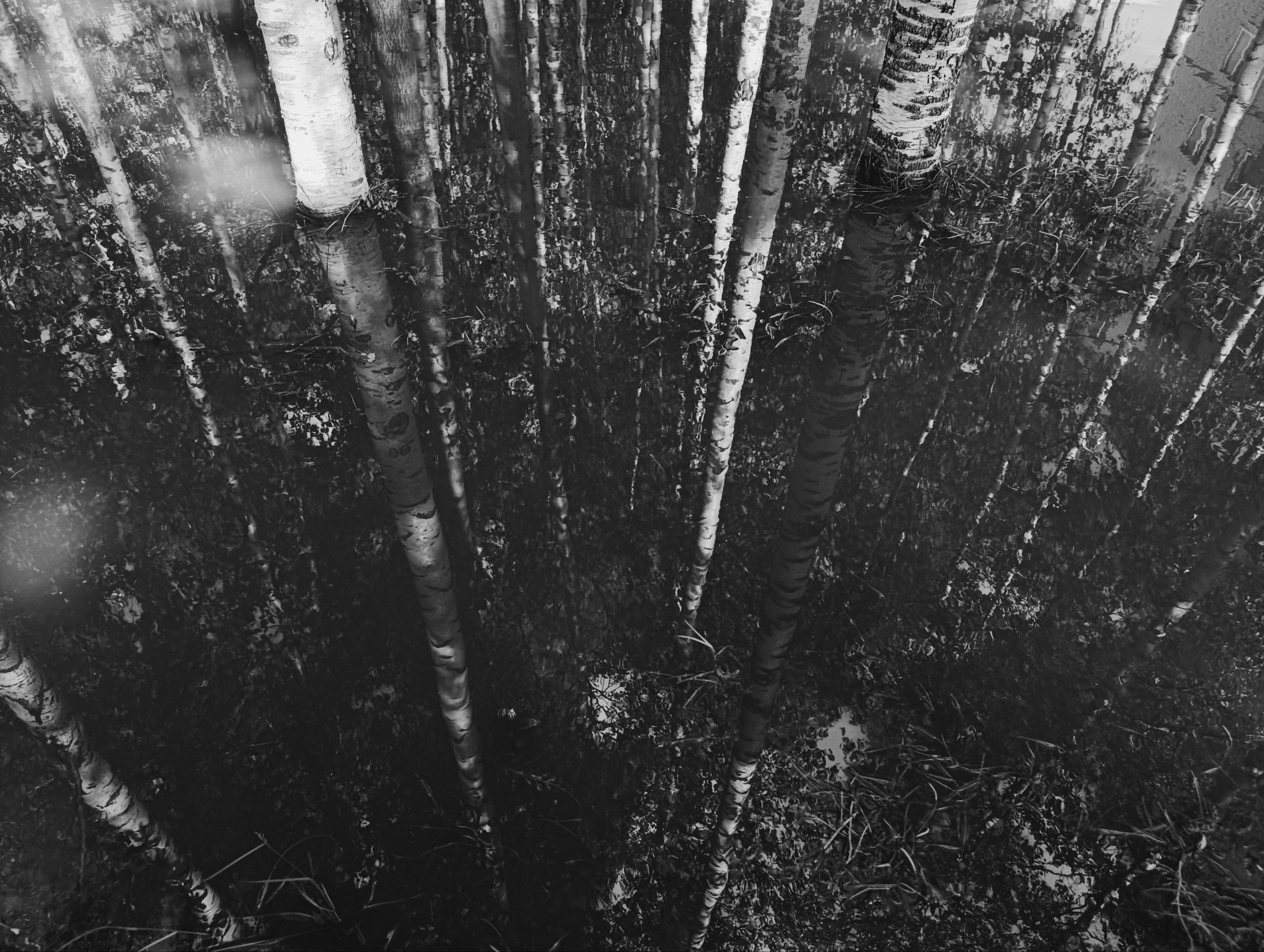 Снято на телефон. Репортажный и портретный фотограф в Уфе Александр Шалагин