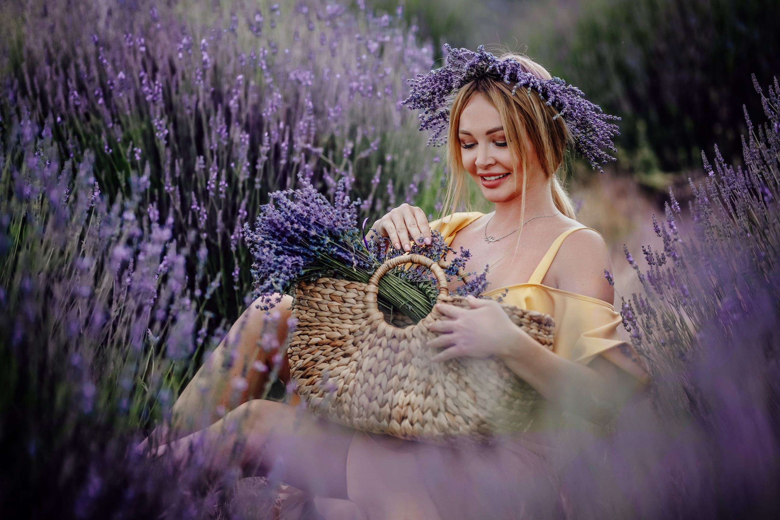 Lavender fields in Turkey