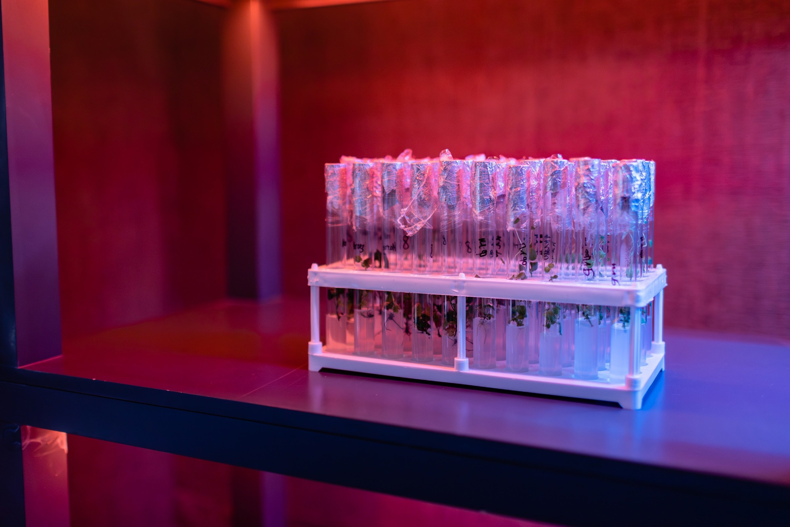 Репортажный фотограф Грехов Илья