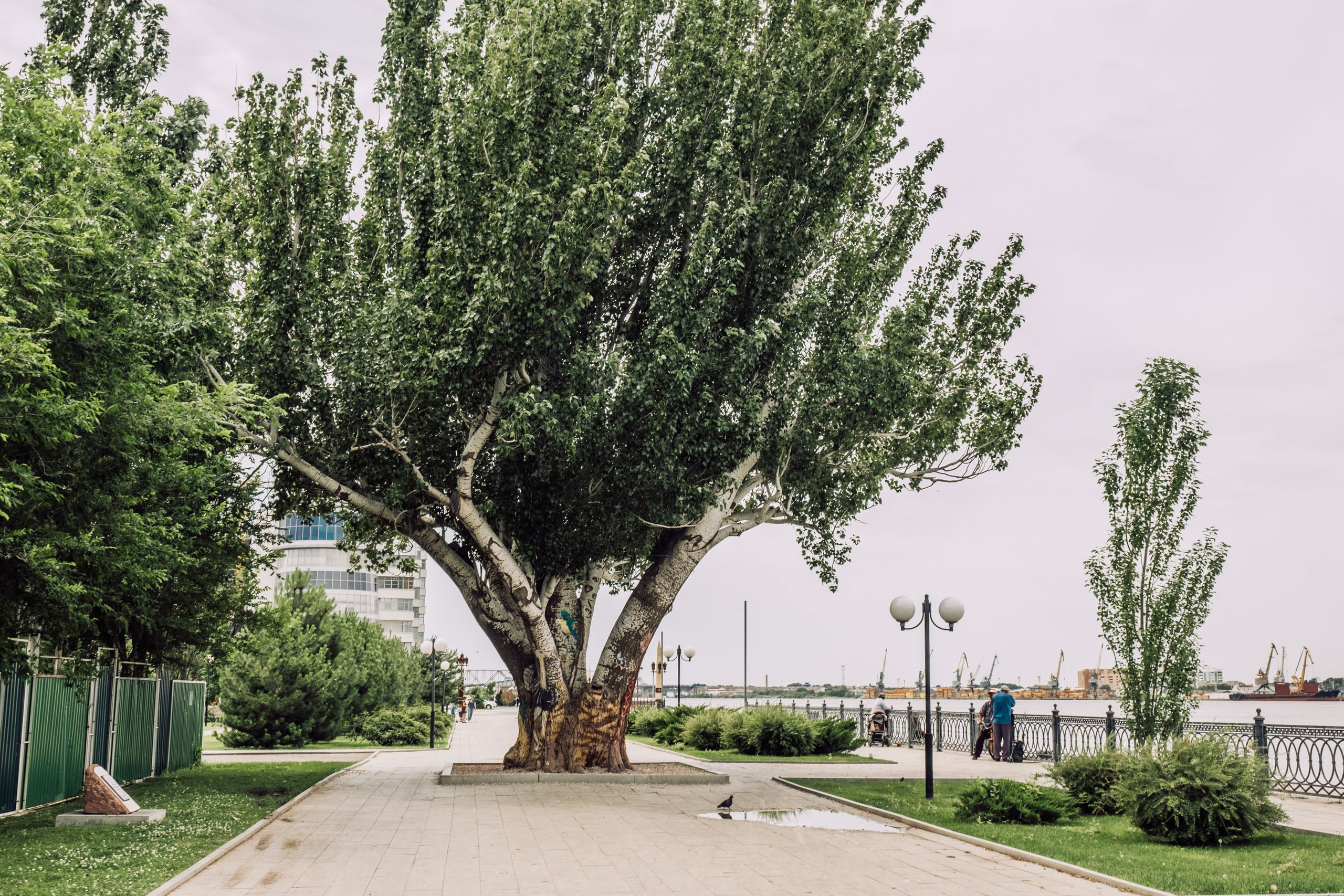 Набережная. Фотограф Анатолий Деникин