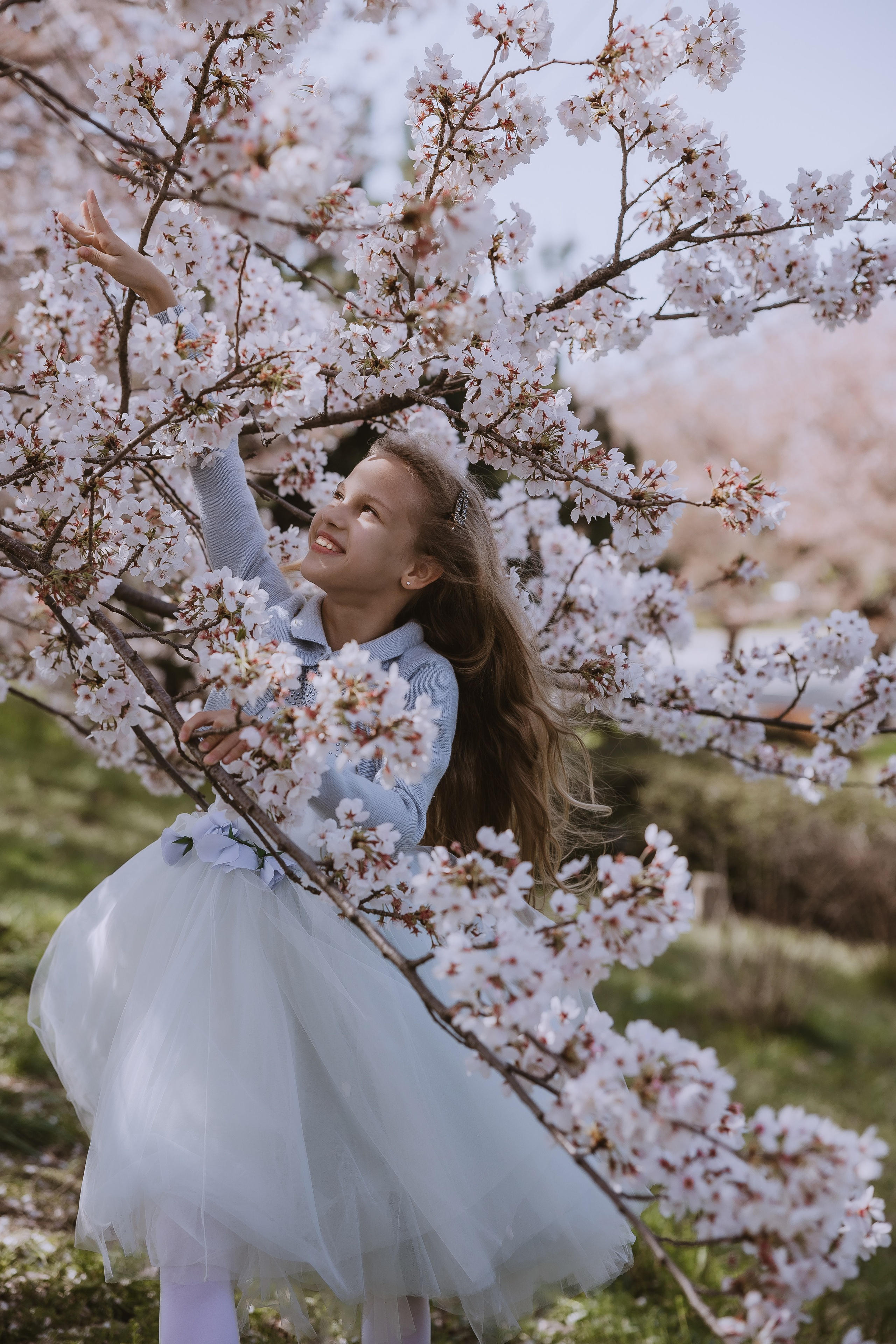 Beautiful girl at a photo shoot with sakura in Korea, Busan. Your photographer in Busan (South Korea) Aleksandra Anufriy