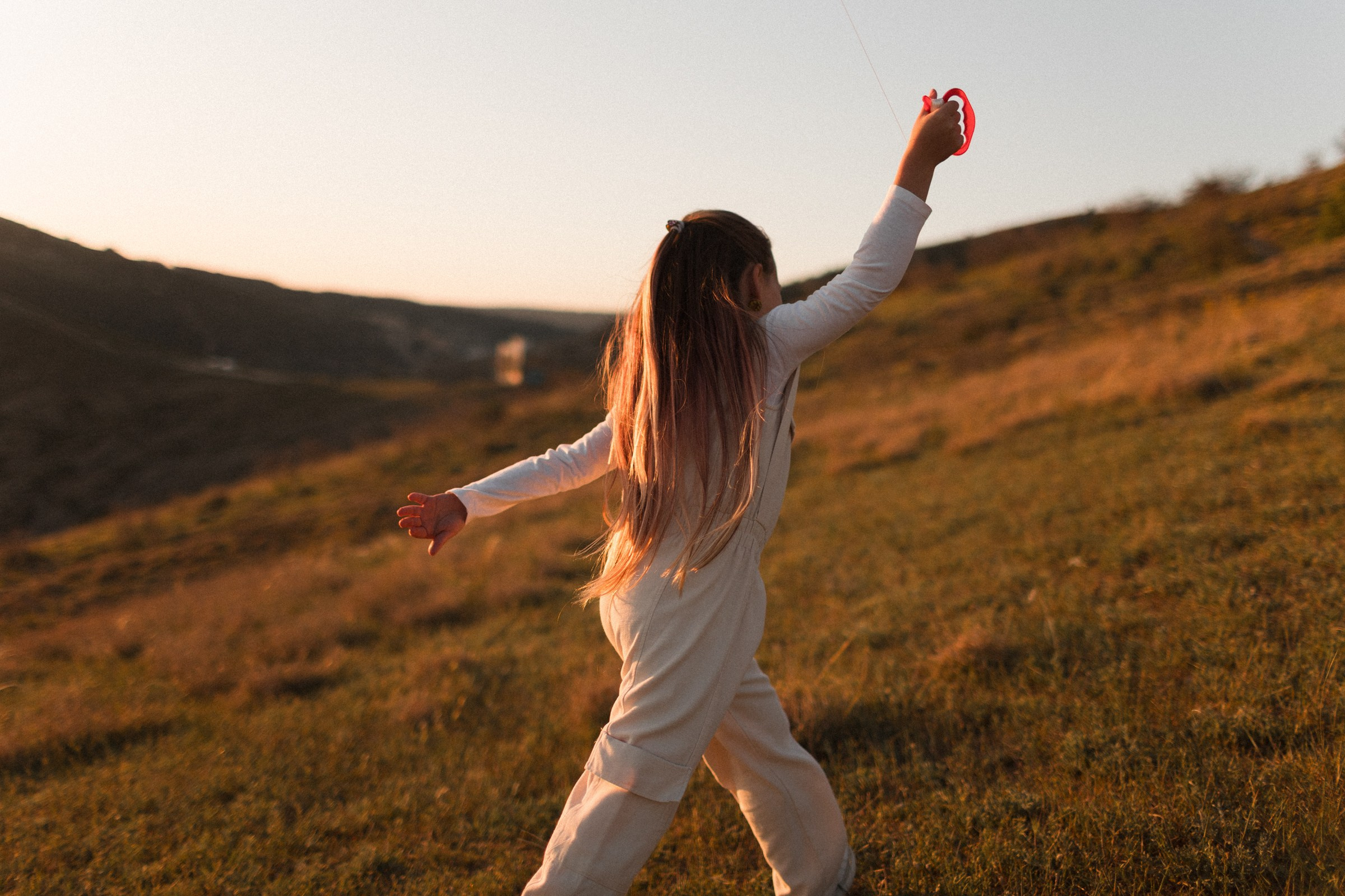 4 друга. Sovushka DS