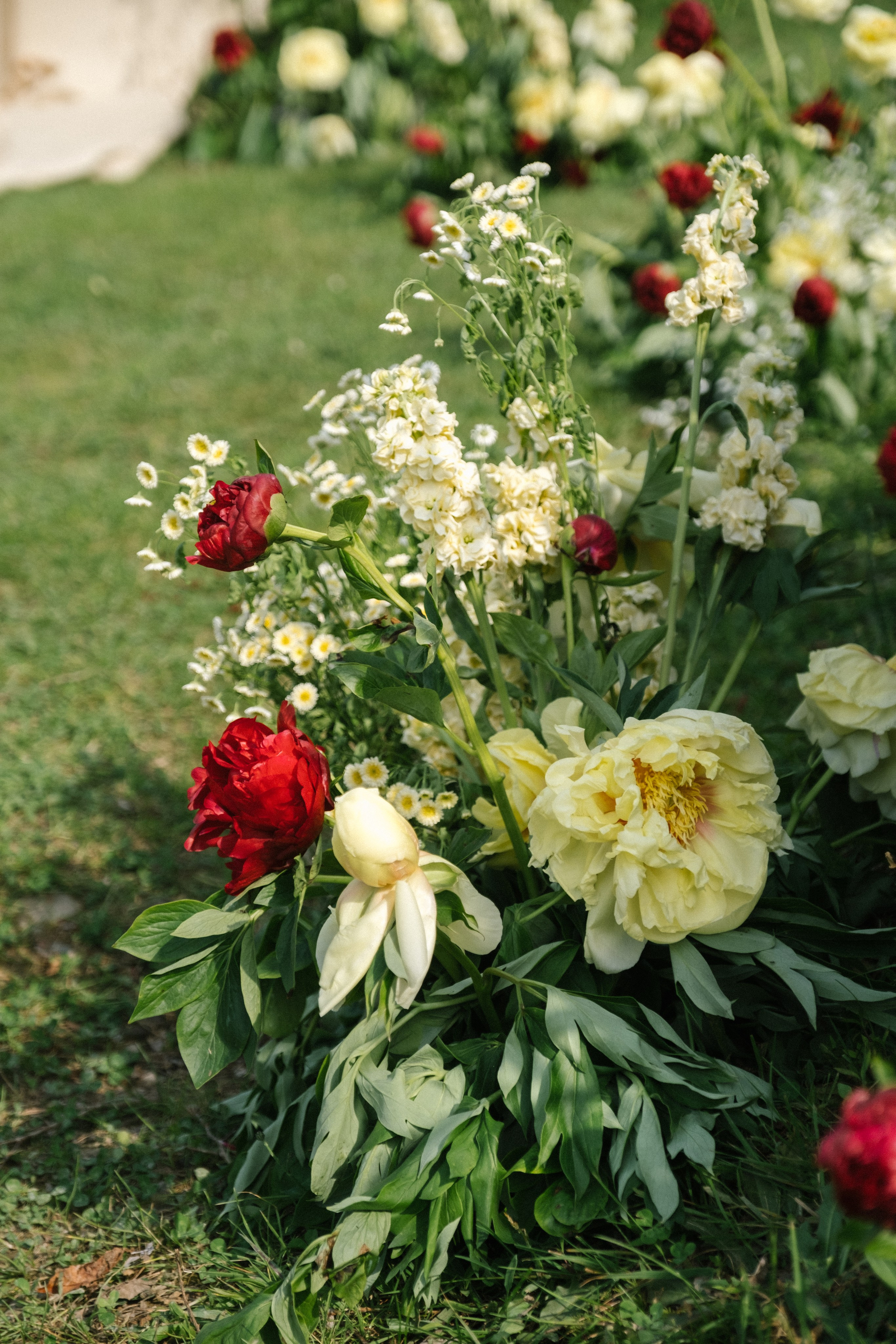 Маленькая Италия. Свадебный Видеограф Фотограф в Сочи