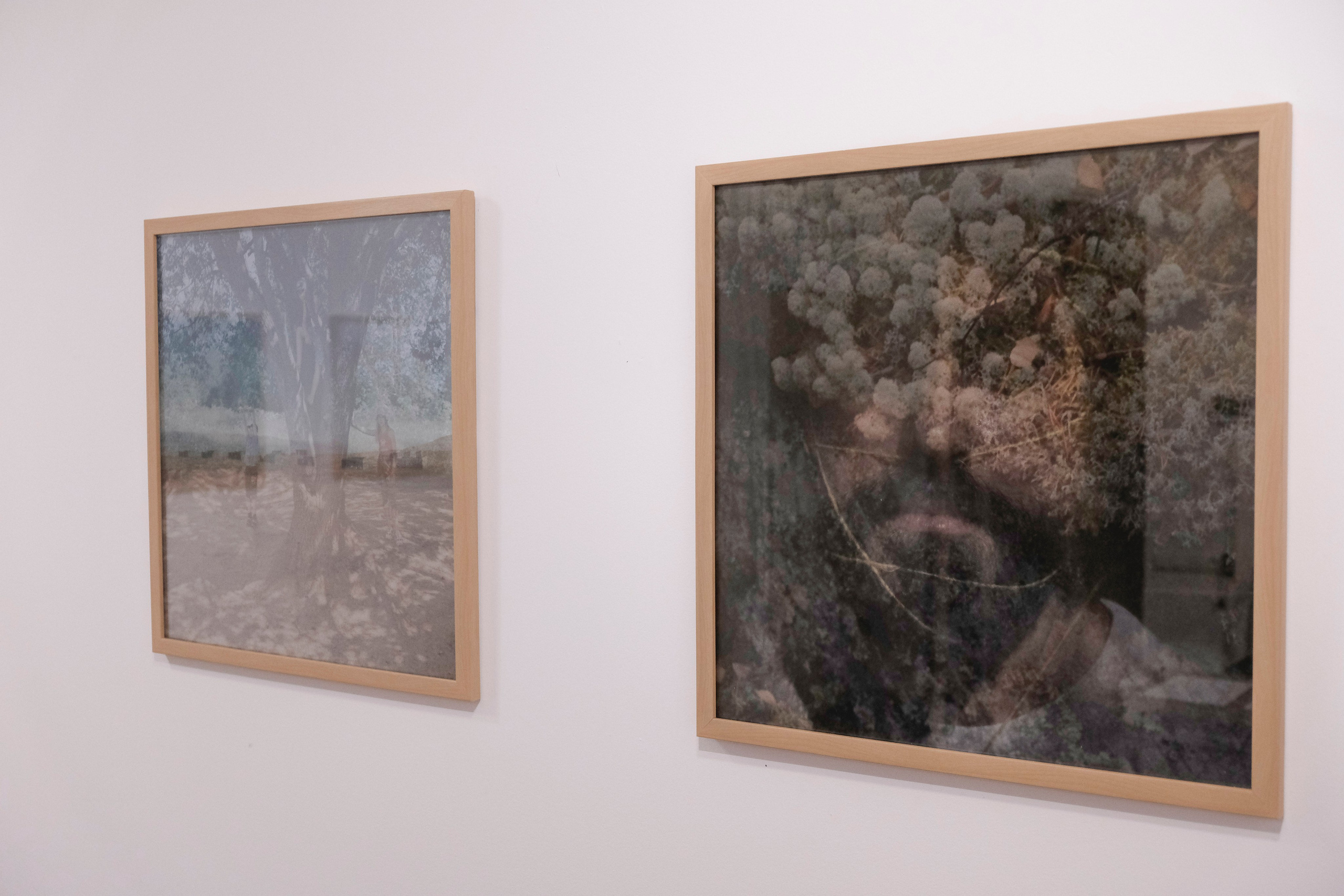 Exhibitions. Kirillov Egor