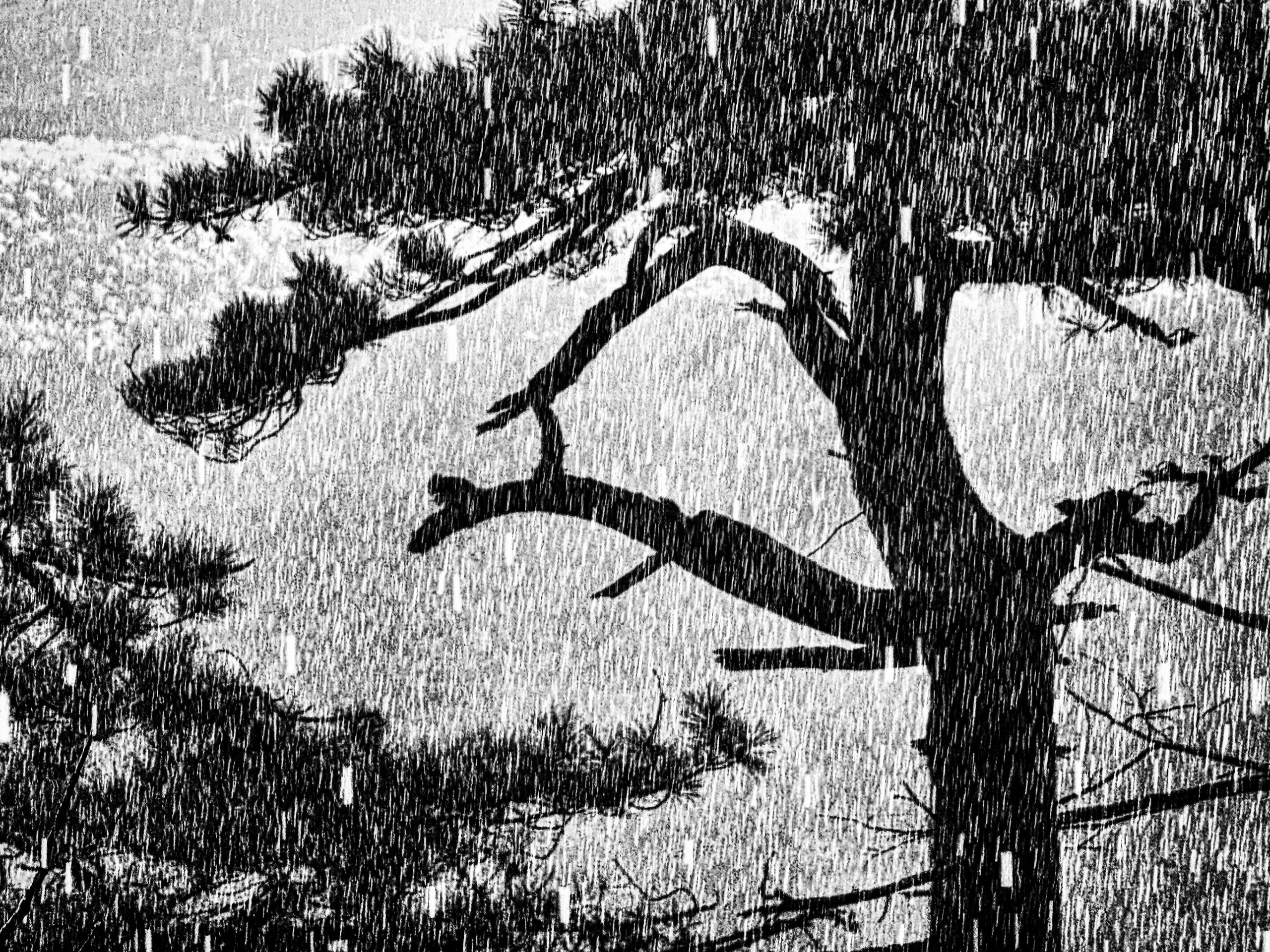 Работы с телефона. Свадебный фотограф в Москве Сафонова Анна