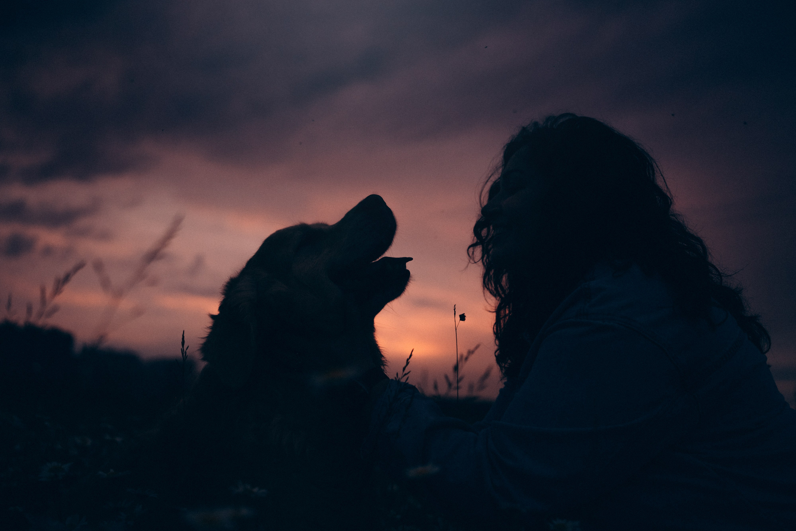 Кристина, Александр, Каролина, Владлен и Космос. Фотограф анималист в Москве и Санкт-Петербурге Свиридова Анна