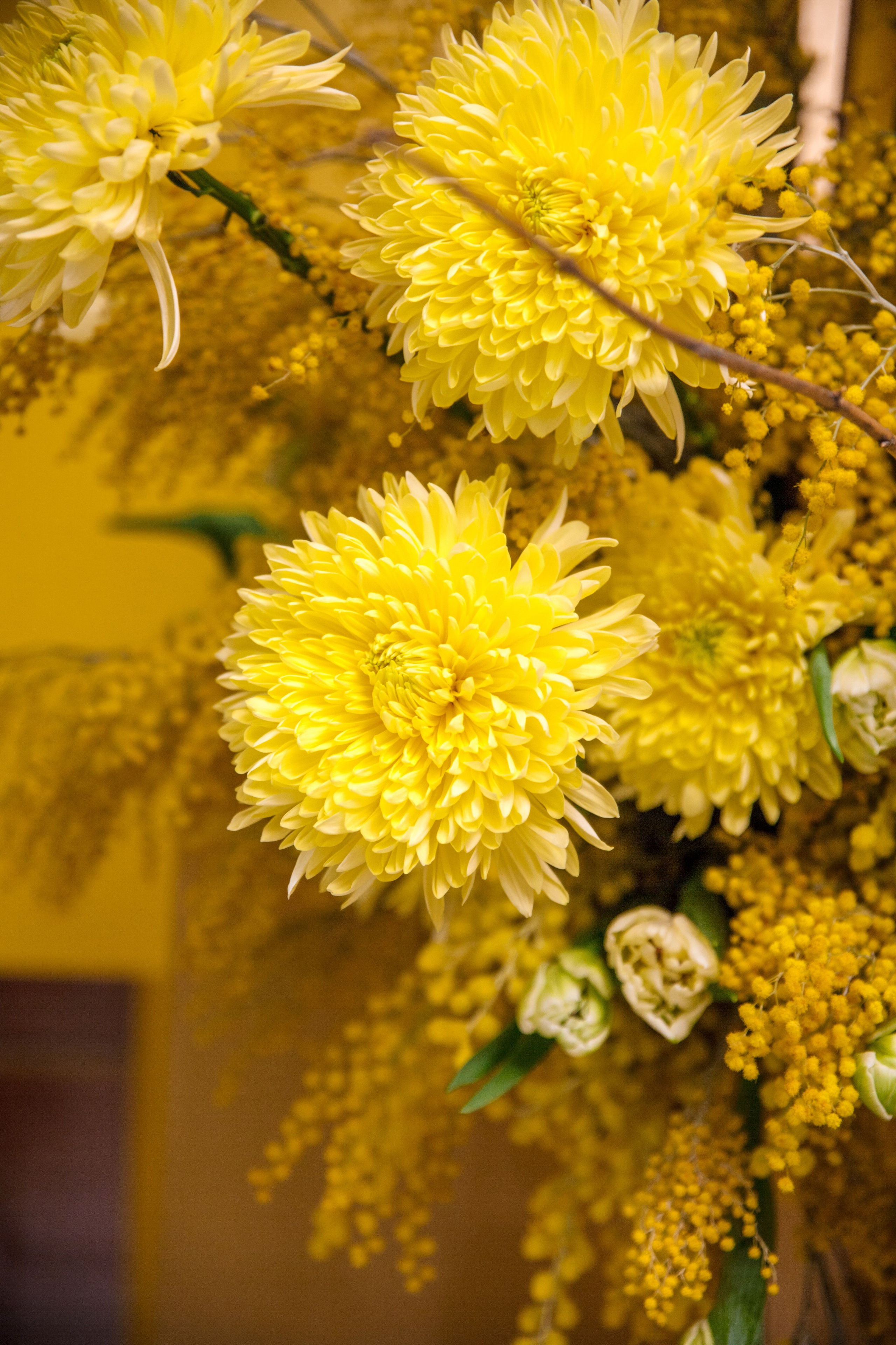 Клиентский день Посольство красоты 2023. Ксения Почтарь. Декоратор и флорист, город Владивосток