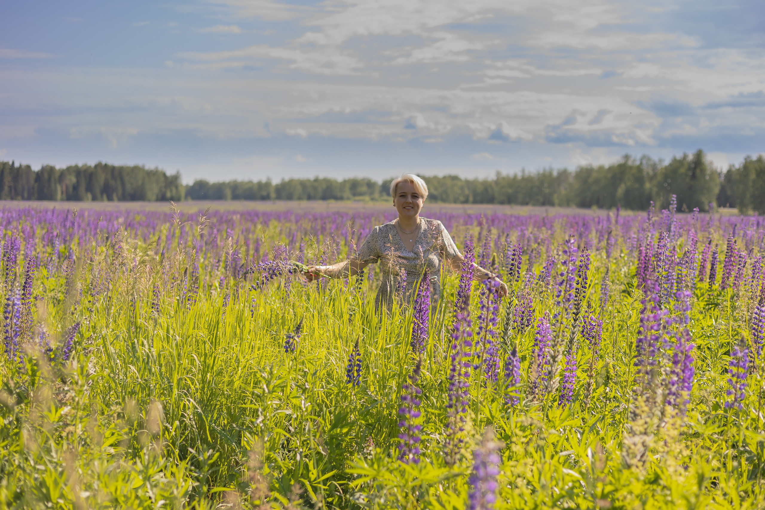 Поле с люпинами
