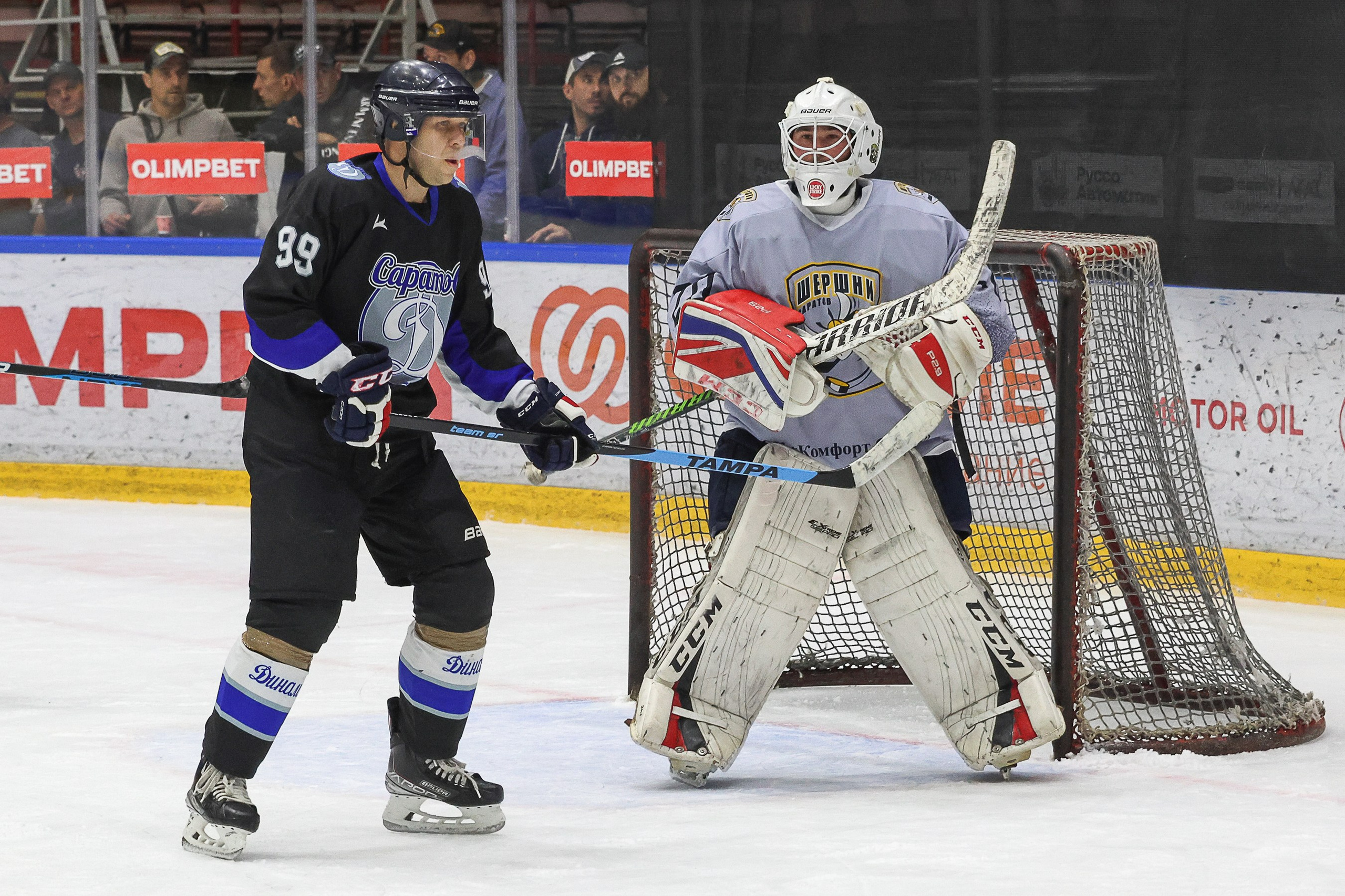 НПХЛ Саратов. Фотограф Дмитрий Алексеев