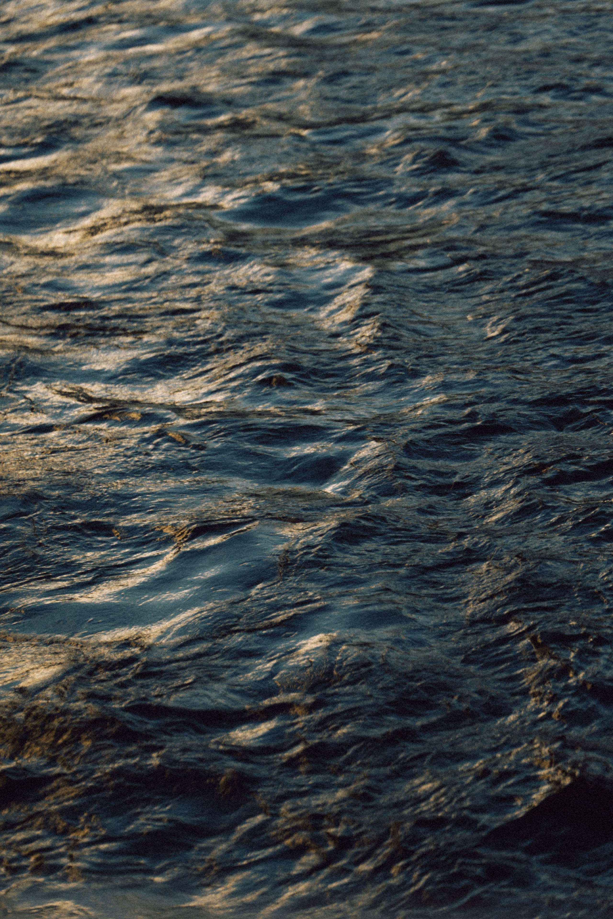 Однажды в Петербурге. Фотограф Ксения Калюжная