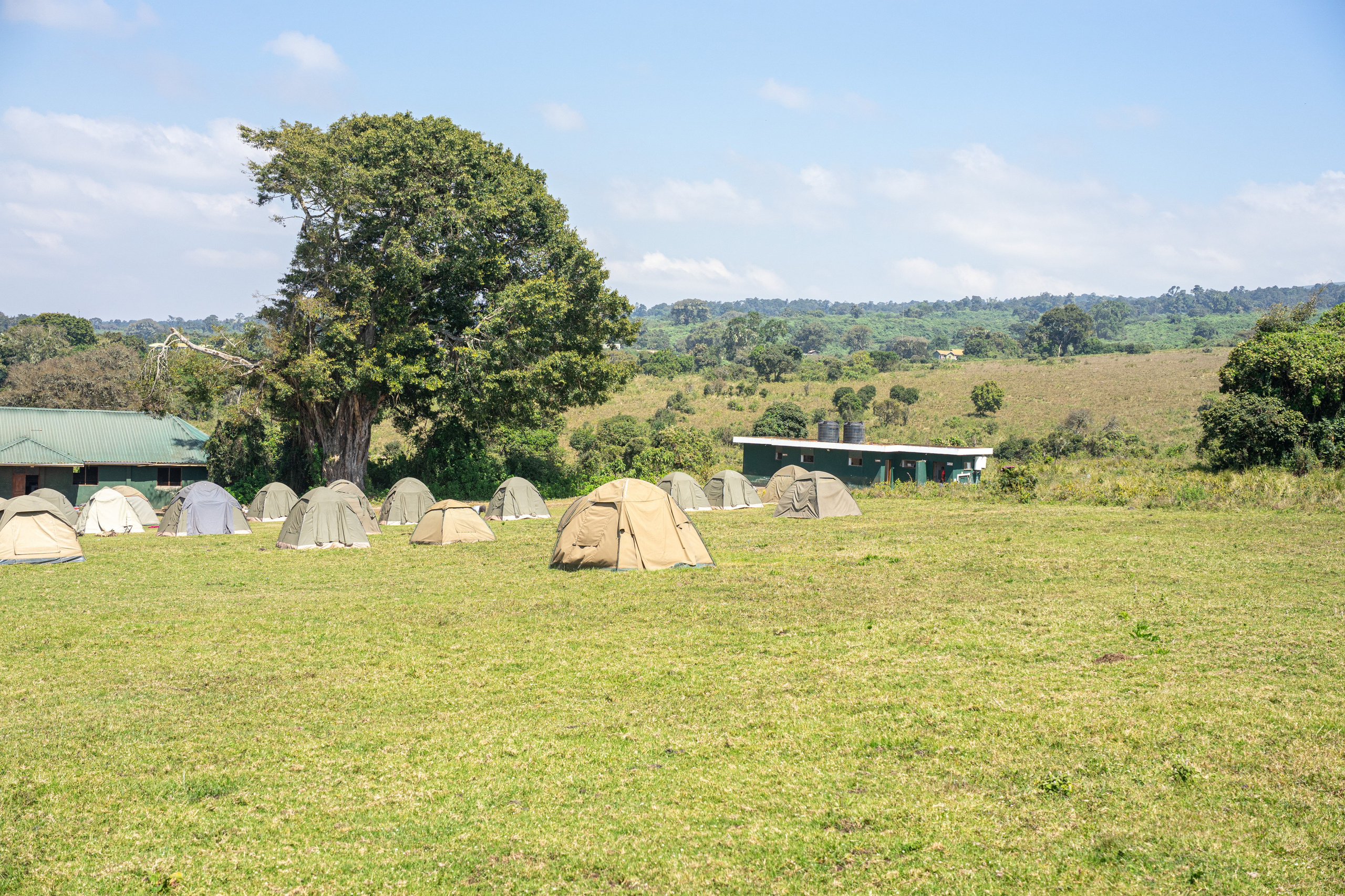 Танзания, сафари, 2025. Творческие сьемки