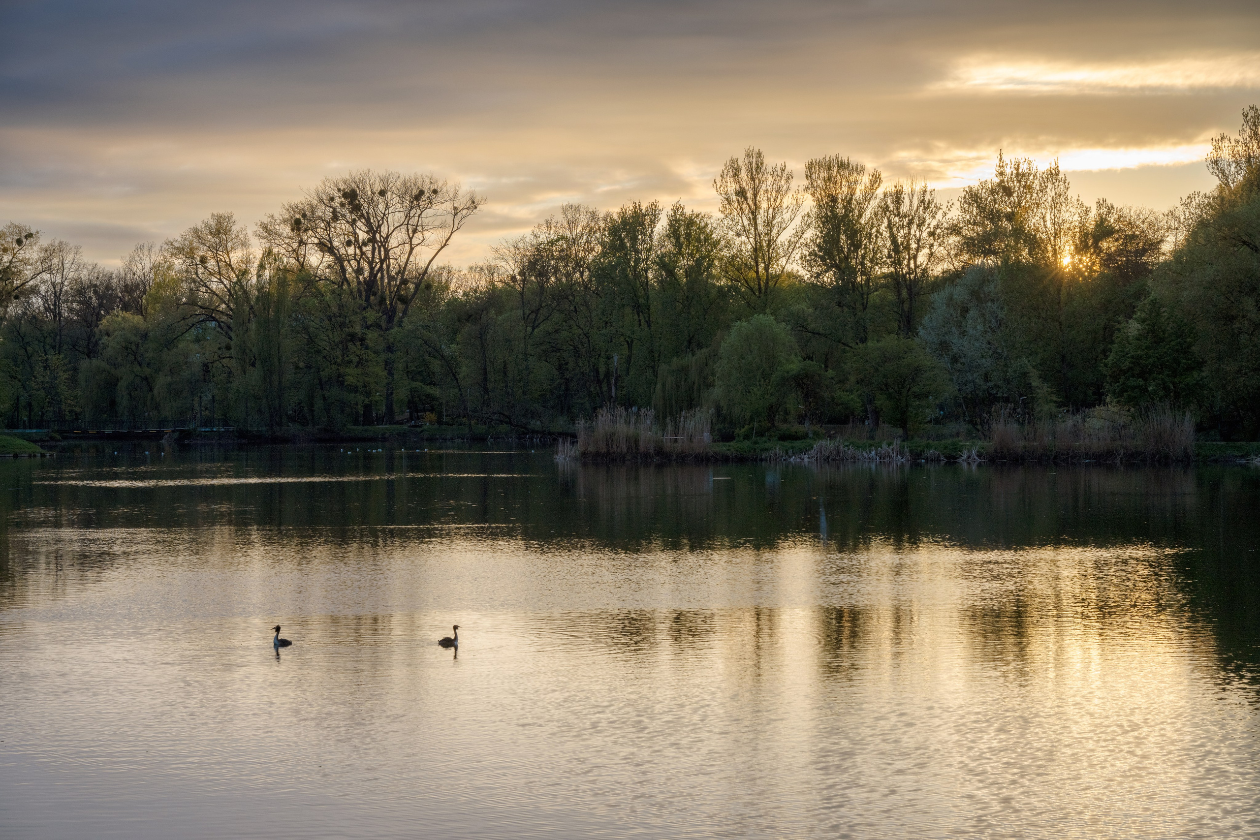 Калининград