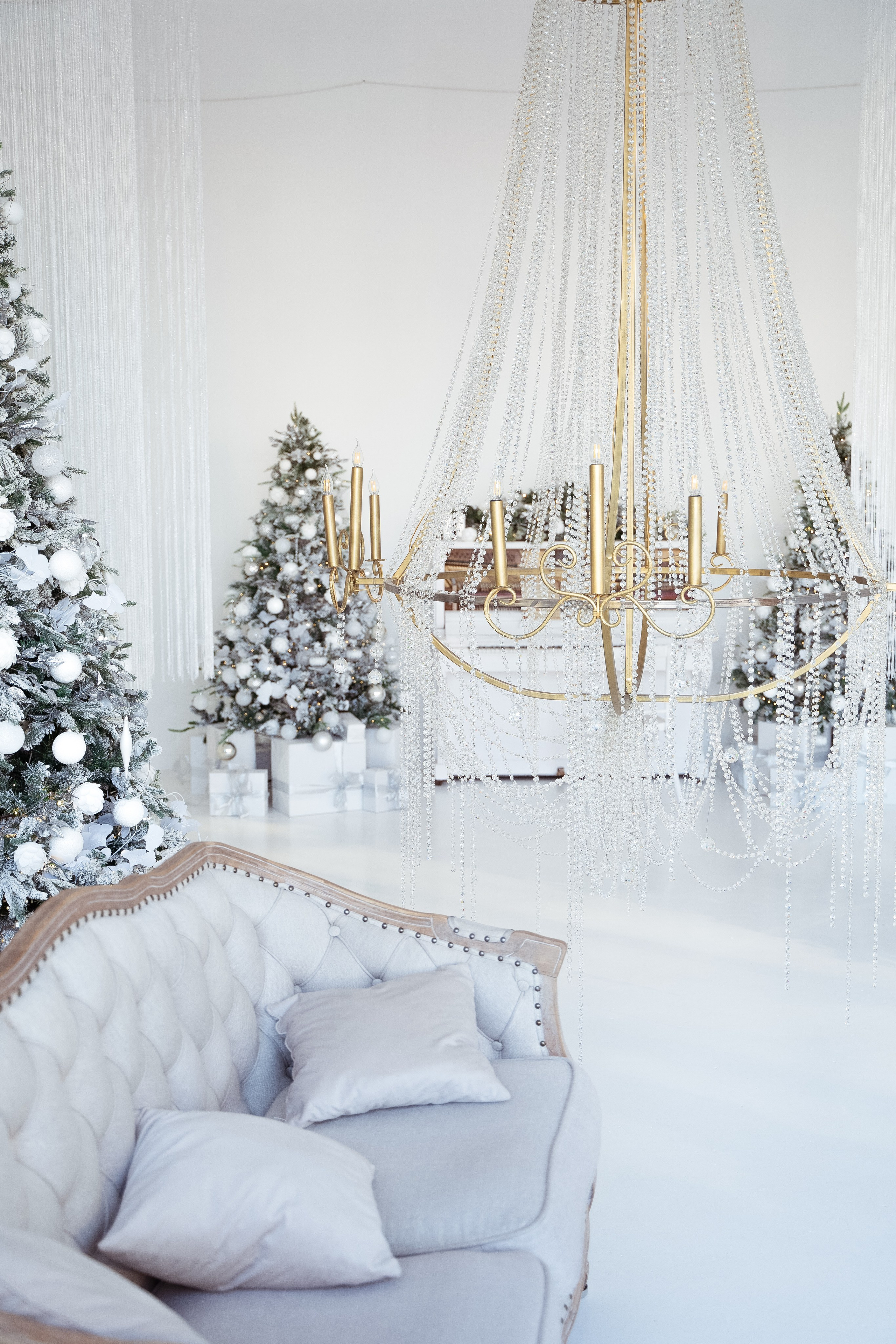 Ренессанс. Фотограф г. Хабаровск. Семейные и индивидуальные съёмки