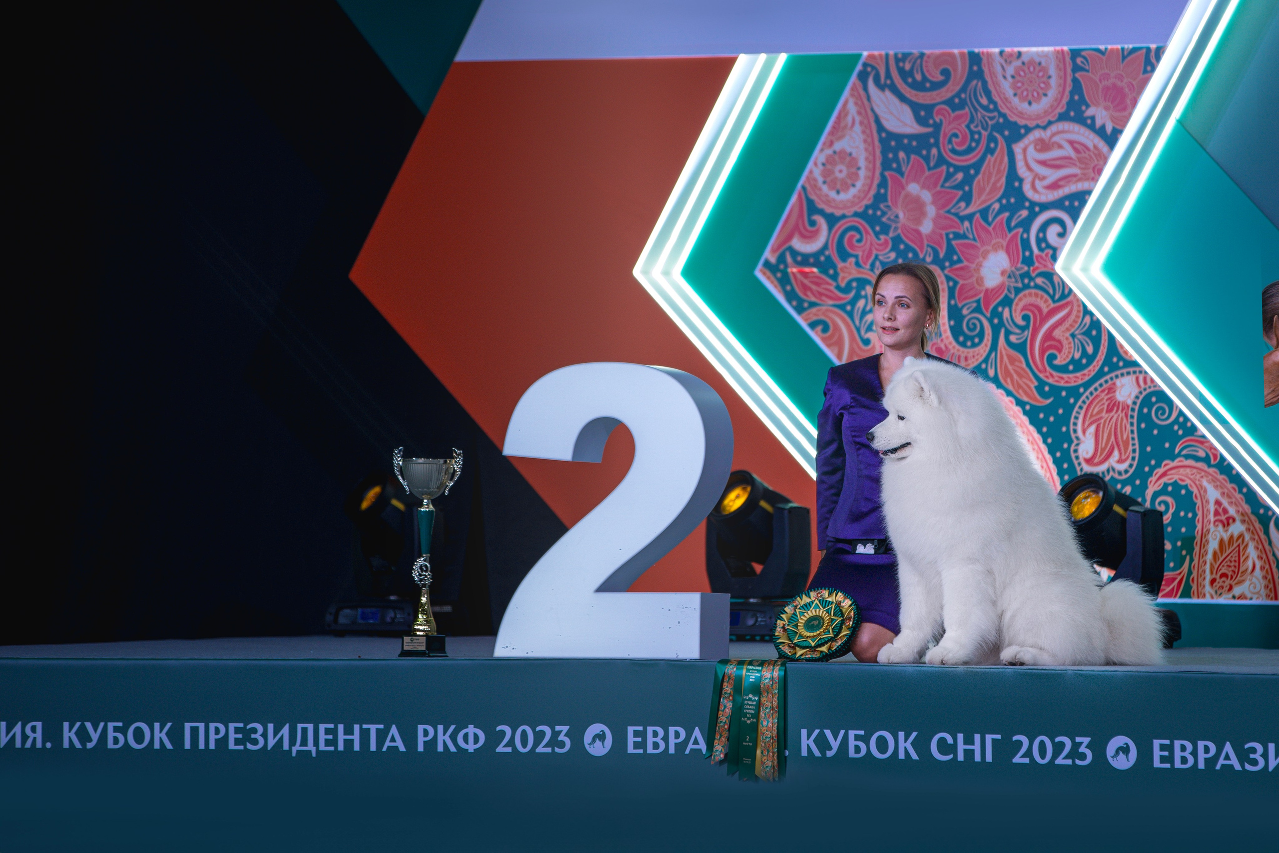 Выставки. Фотограф анималист в Москве Майорова Евгения