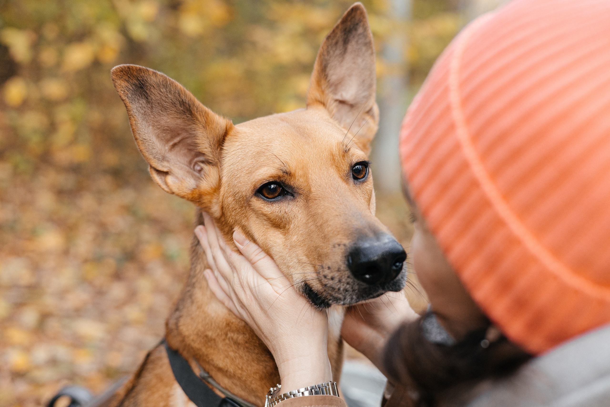 Нелли, Лёша, Рэй и Норд. Фотограф Анна Луценко Москва