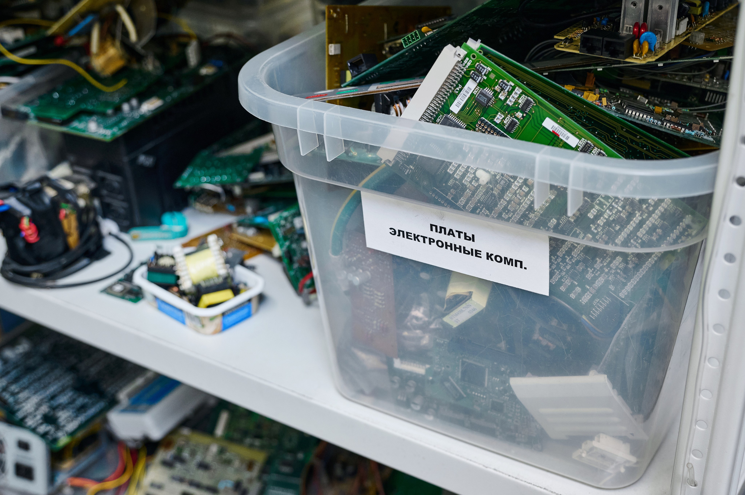 ЭССИБ. Фотограф Опыт Качество Скорость Горный Алтай Барнаул