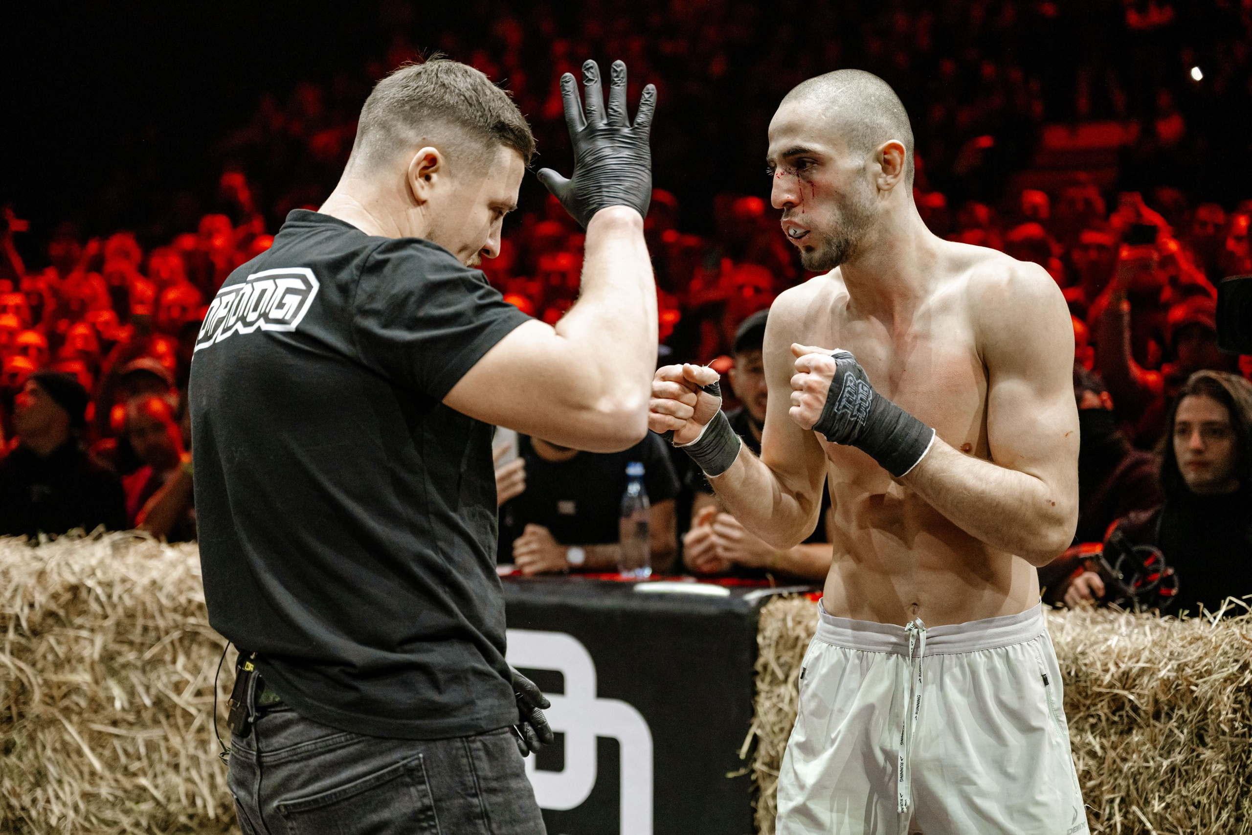 TOP DOG. Максим Комаров — Профессиональный фотограф